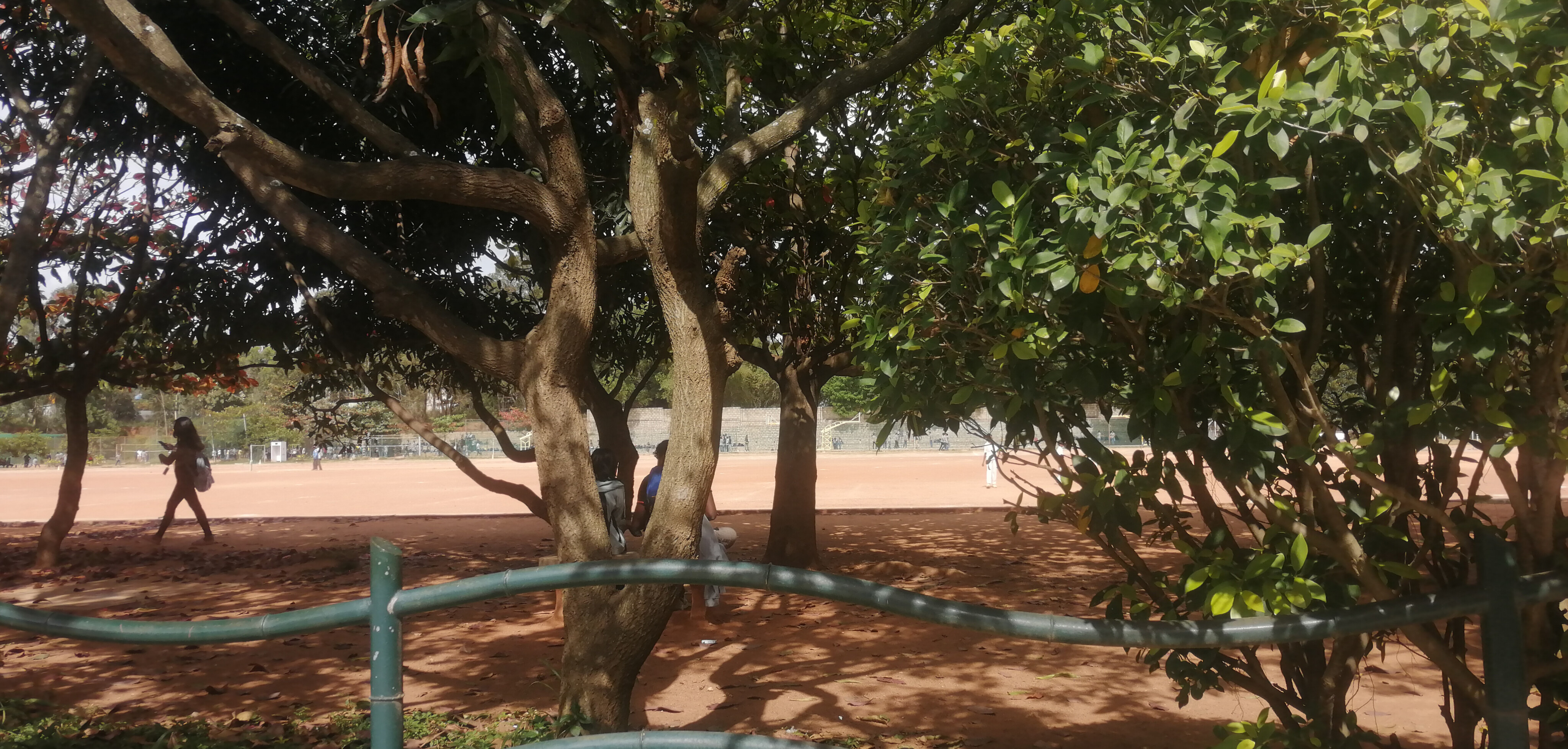 Reva University Bangalore Profile 2025 2026