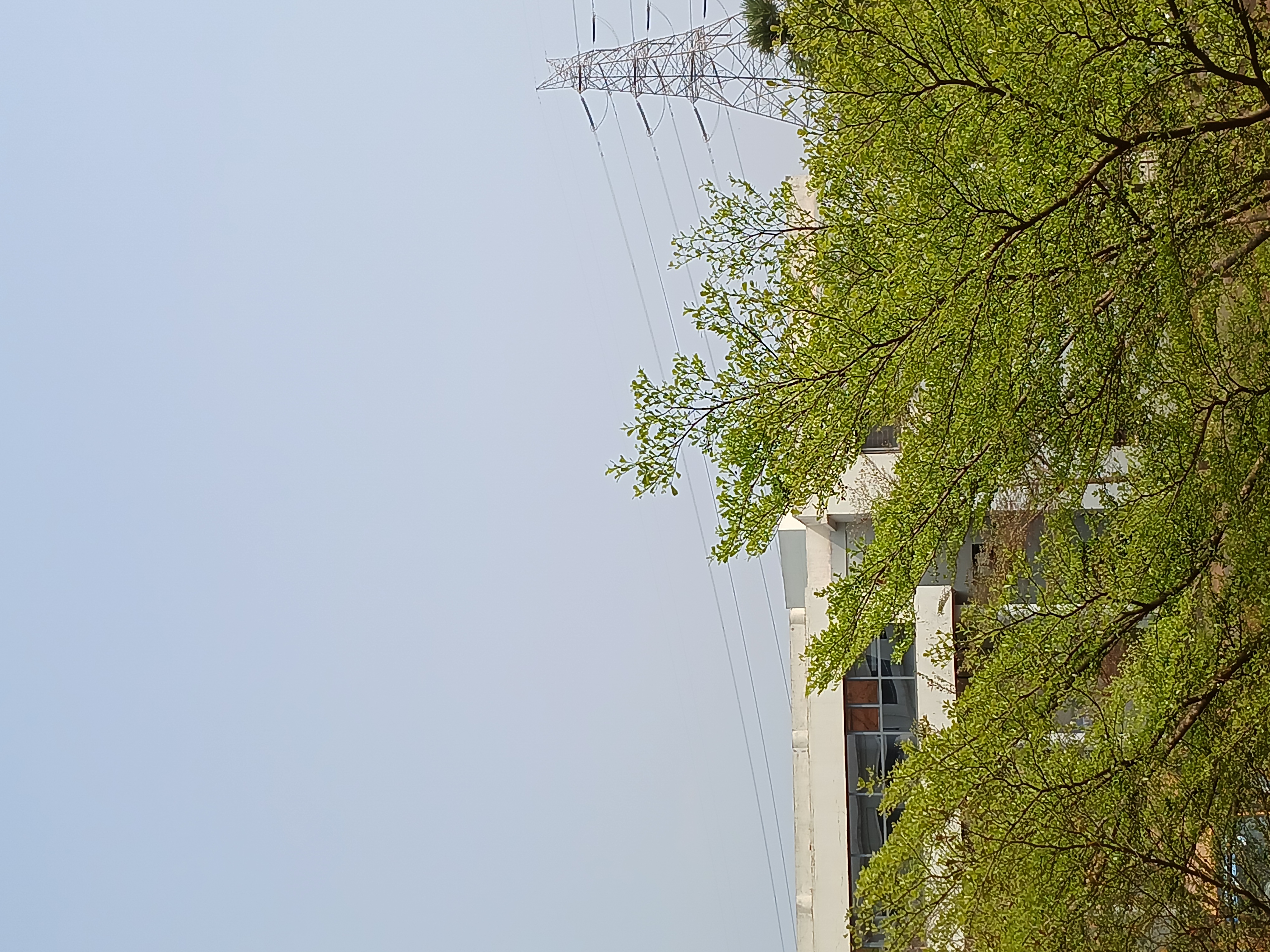 Pragati Engineering College East Godavari Campus photo (3) by Chaitanya Jyothika Boganaduni