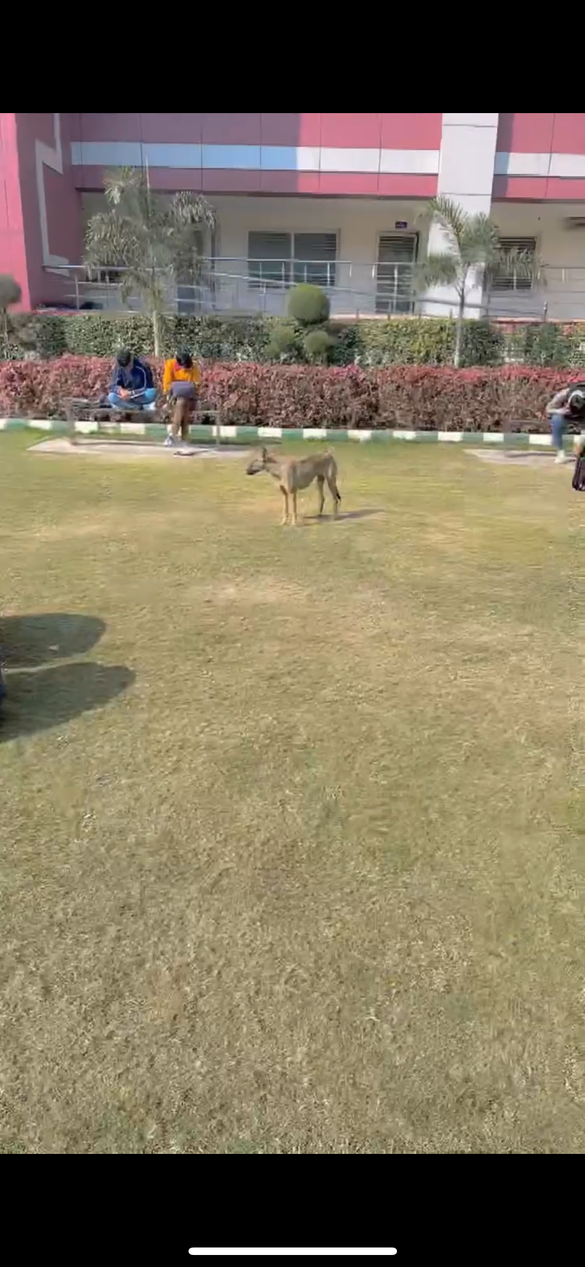 IB Post Graduate College Panipat Campus photo (1) by Shubham Kadyan