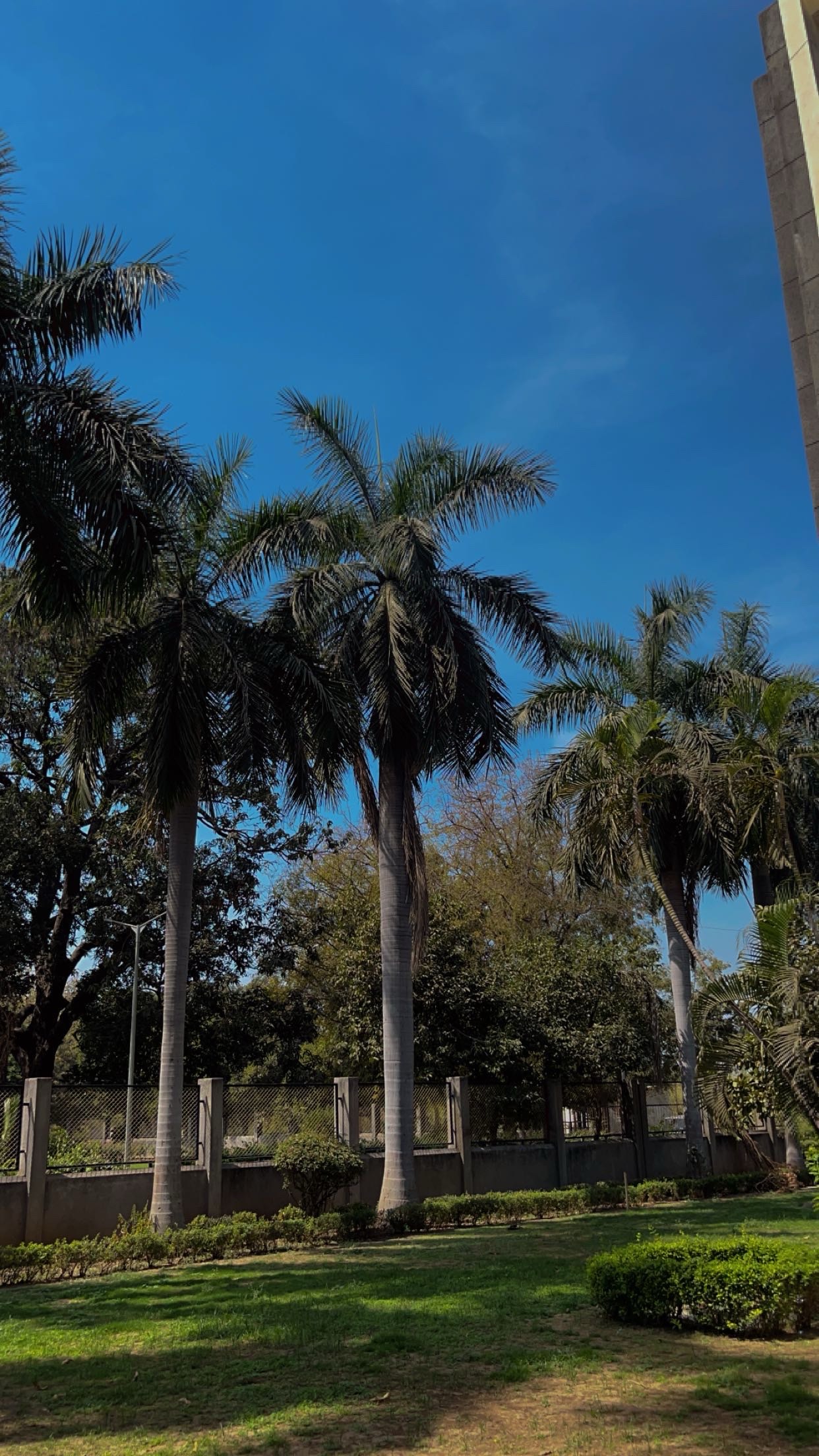 A. D. Patel Institute of Technology, CVM University Campus photo (14) by Sujal didwaniya