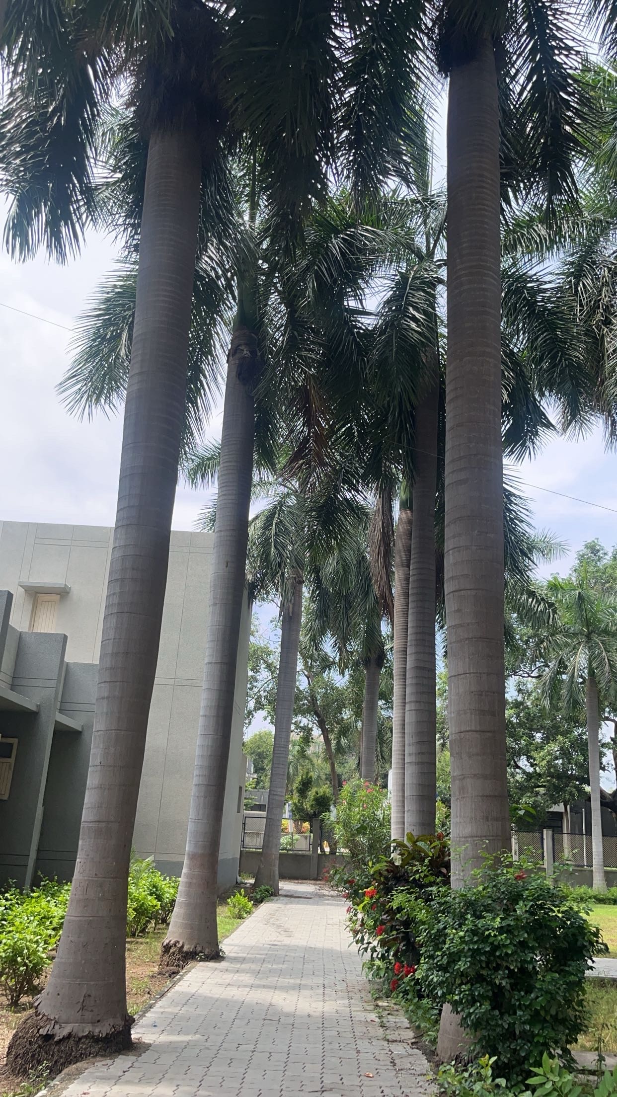 A. D. Patel Institute of Technology, CVM University Hostels photo (1) by Sujal didwaniya