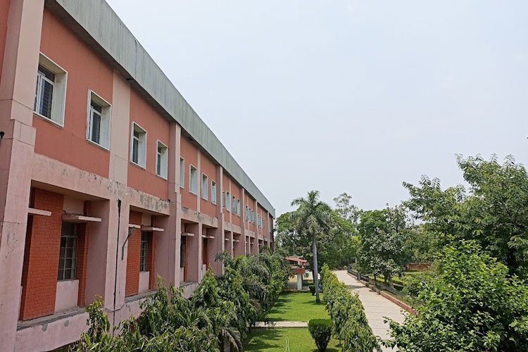 ARSD College Campus photo (20) by Saloni prajapati