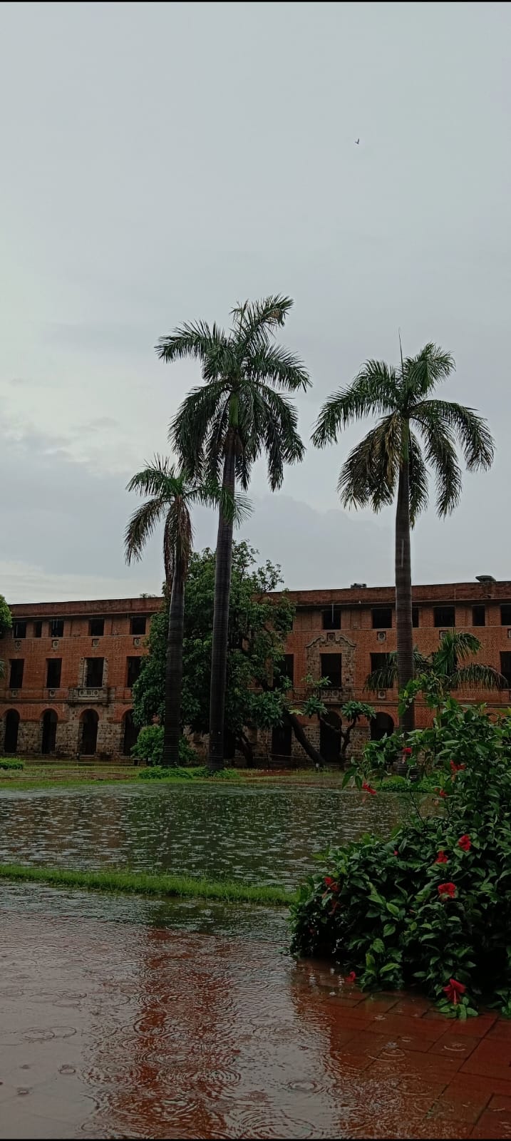 Somaiya Vidyavihar University Mumbai Campus photo (5) by Vivek Davera