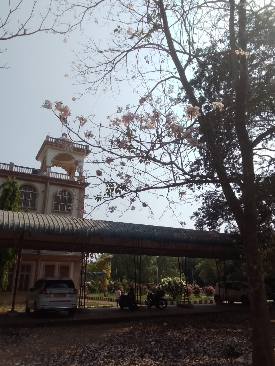 Acharya Nagarjuna University Guntur Campus photo (4) by Harika