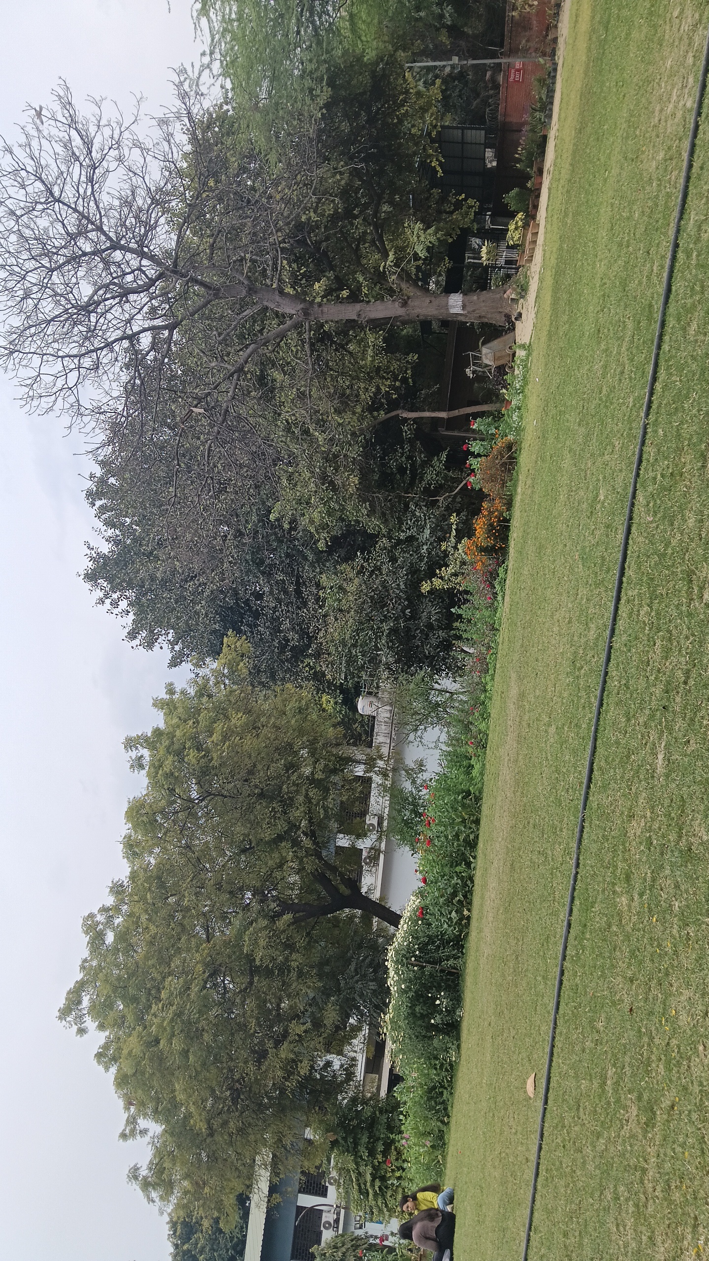 Motilal Nehru College Campus photo (18) by Priyanshi Tandon