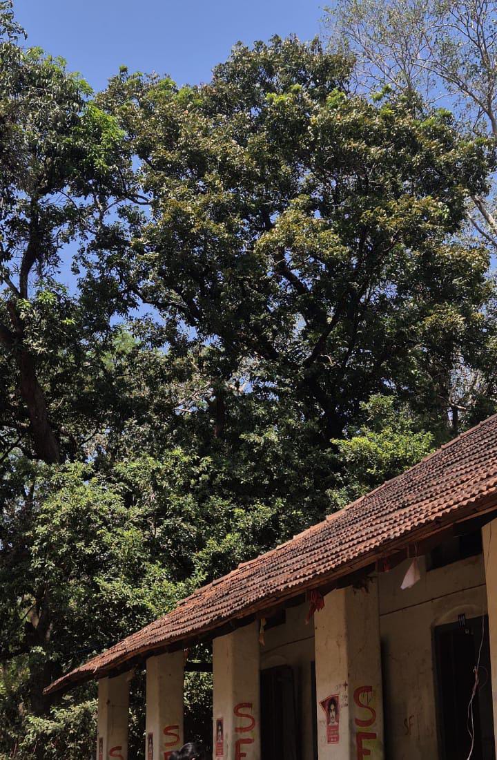 Sree Kerala Varma College Thrissur Campus photo (4) by Punnya A S