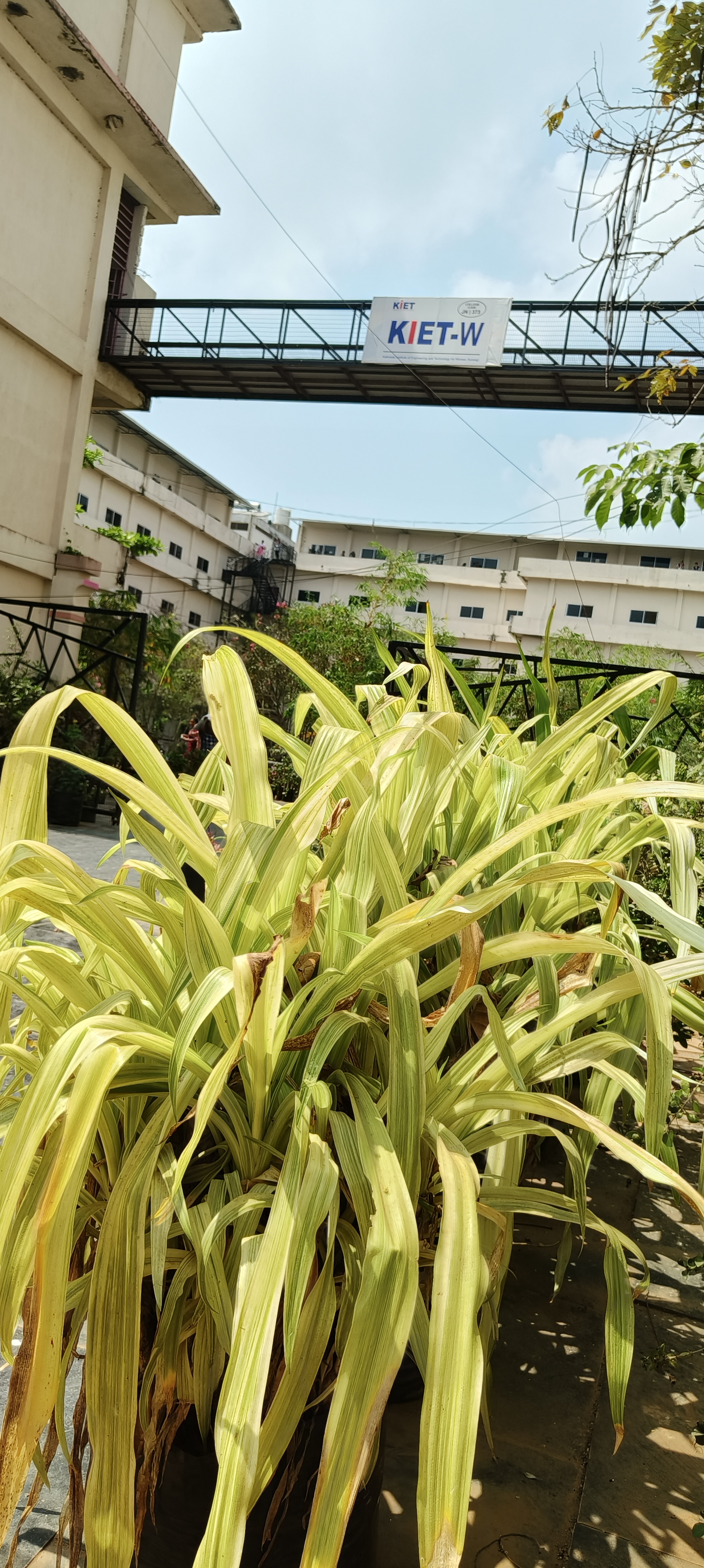 Kakinada Institute of Engineering and Technology West Godavari Campus photo (8) by Avinash Alapati