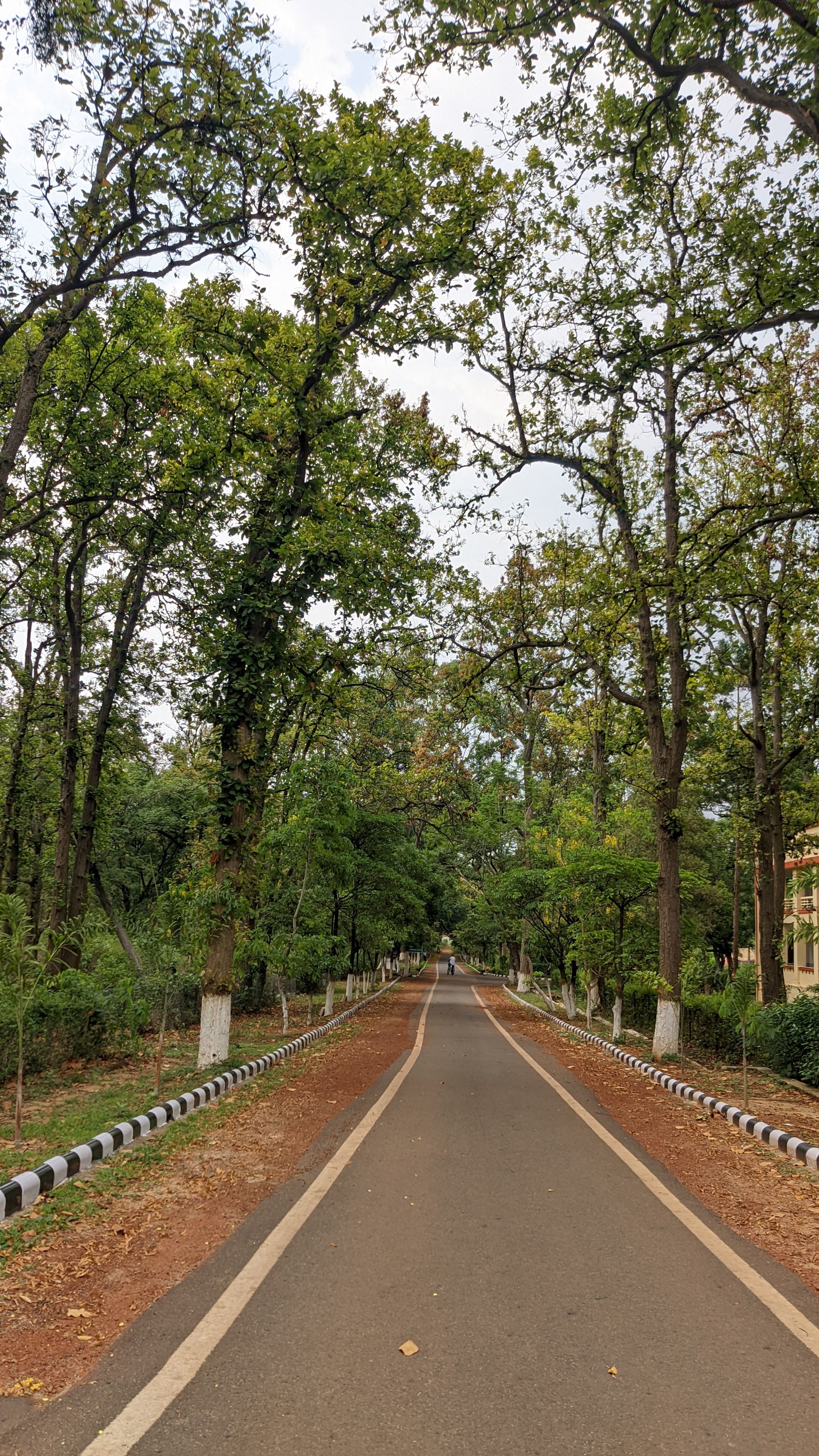 BIT Mesra Campus photo (16) by Priyansh Sahu
