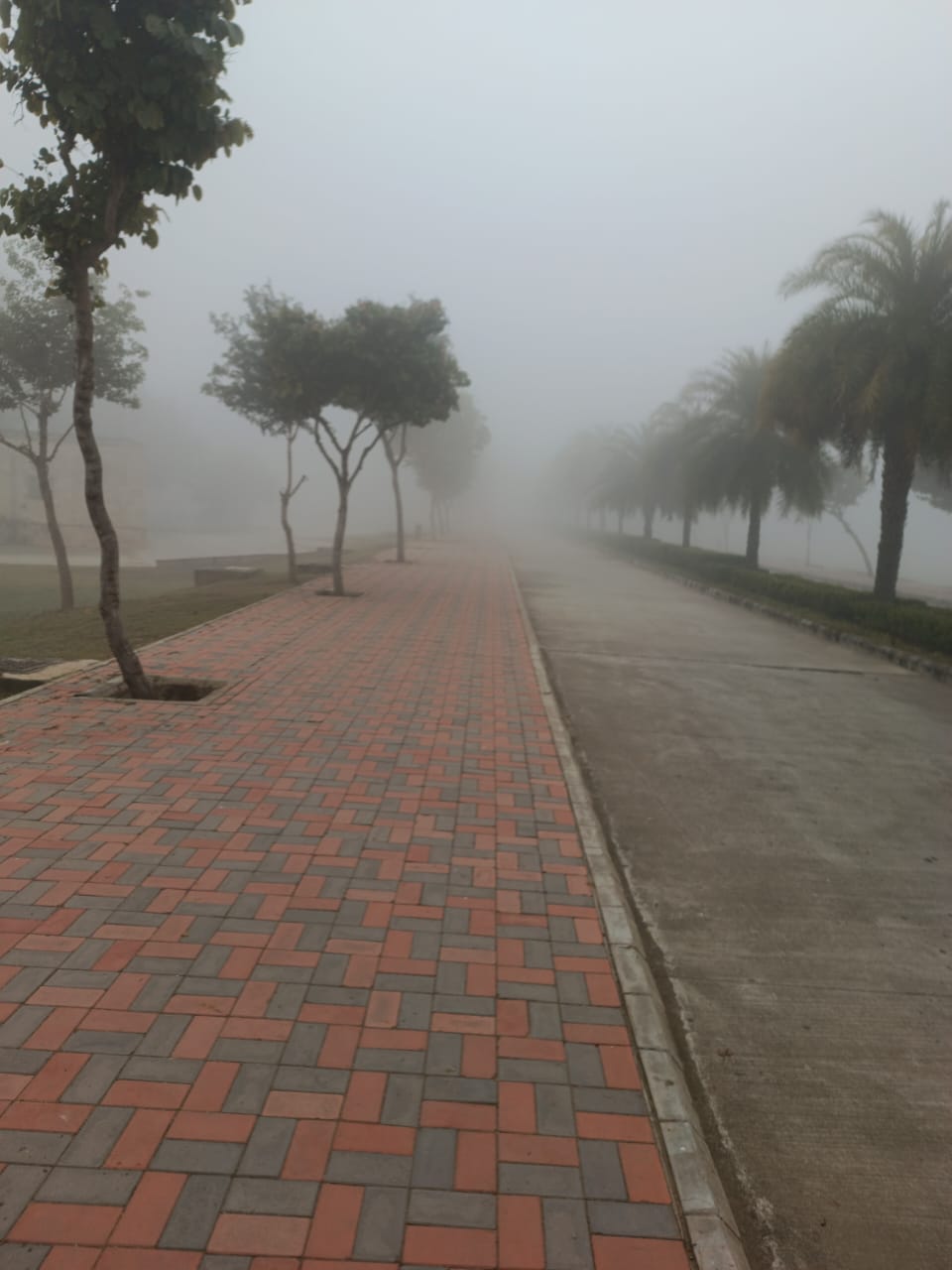 Amity University Jaipur Campus photo (5) by Vikrantsing G Taur