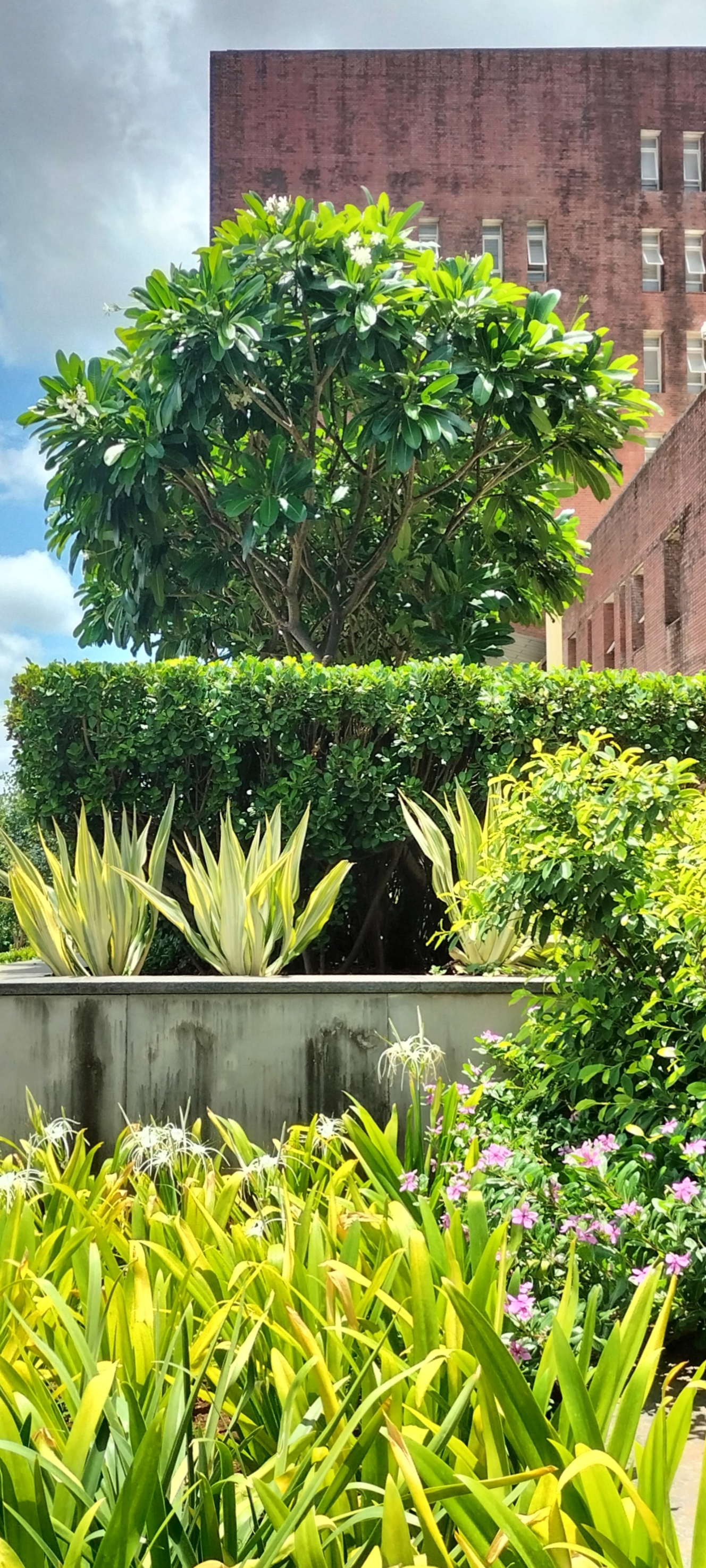Amity University Mumbai Campus photo (15) by Aman Jha