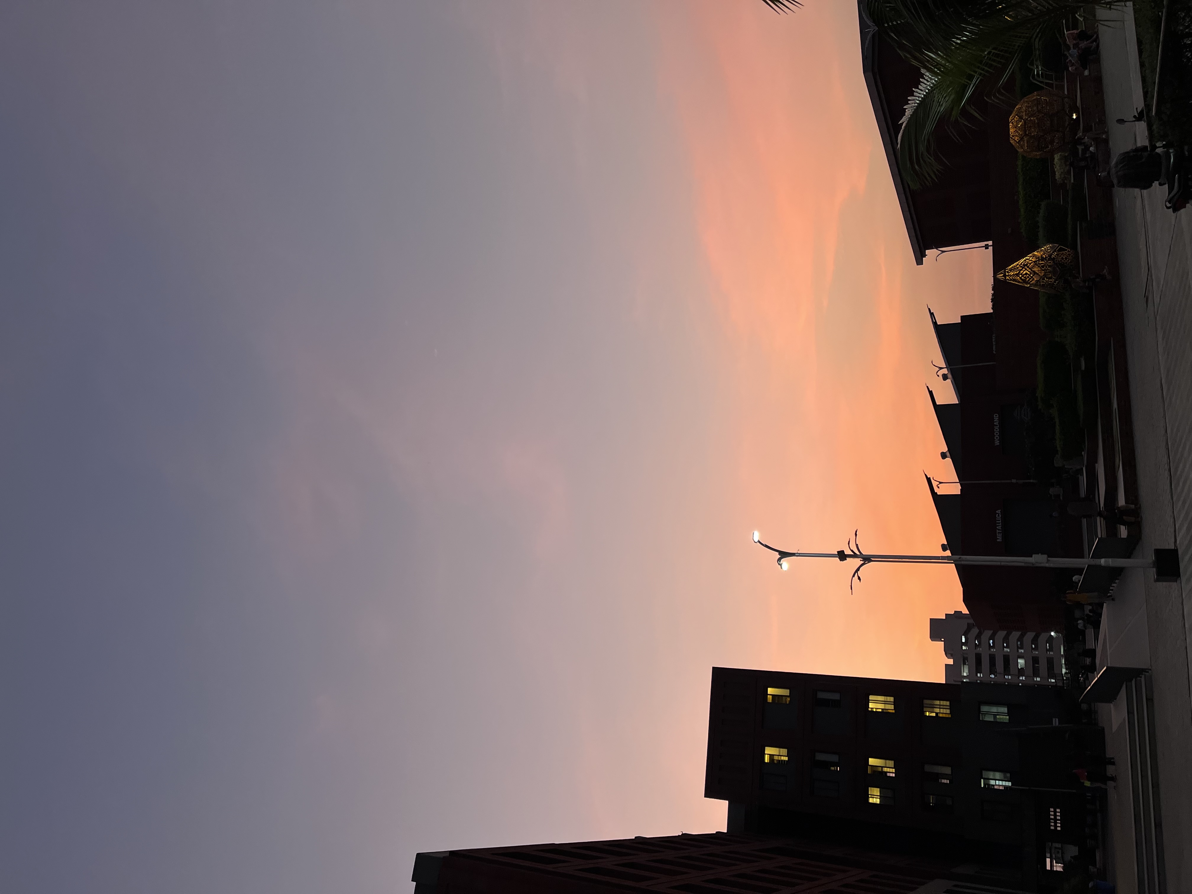 Parul University Campus photo (9) by TANISHA SINHA