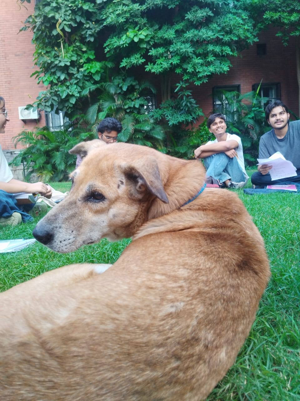 Ramjas College Extra-Curricular photo (7) by KRISHNA KANT RAI
