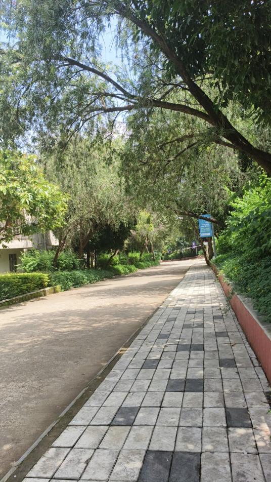 JLU Bhopal Campus photo (5) by Arya Jain