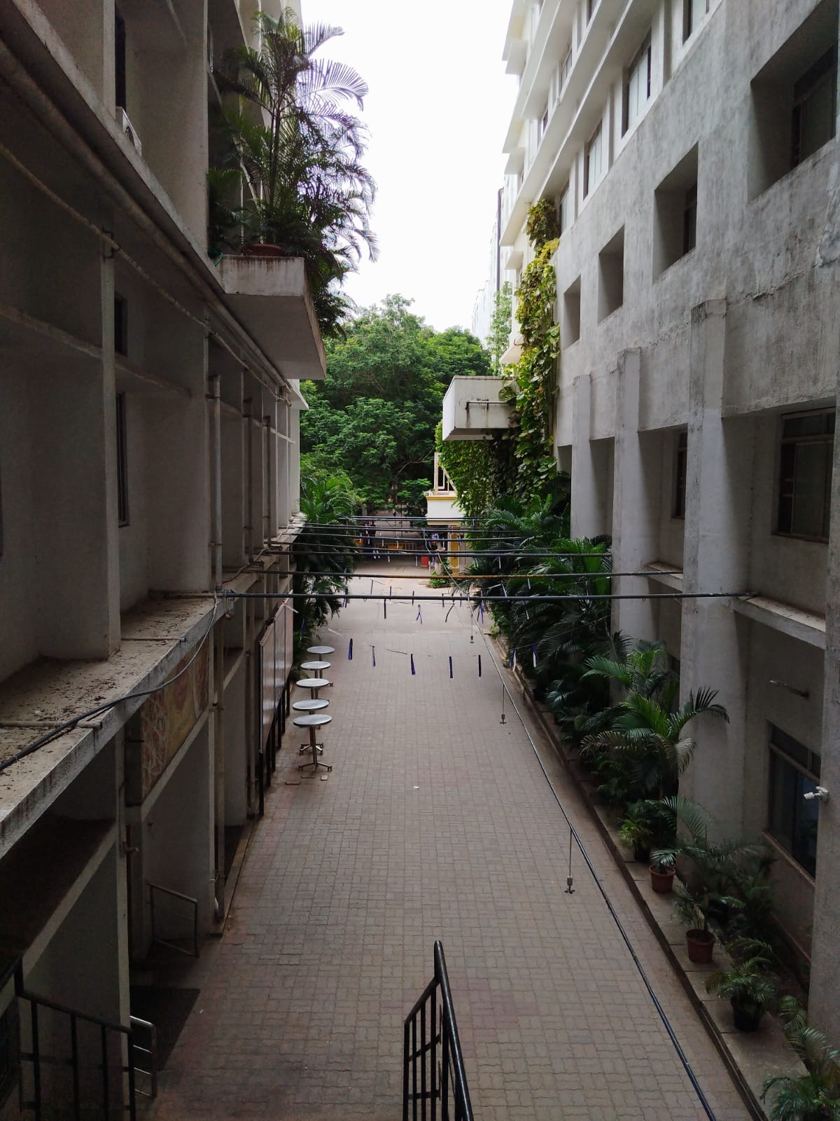 SRM University Ramapuram Campus photo (14) by Kumar Shrey