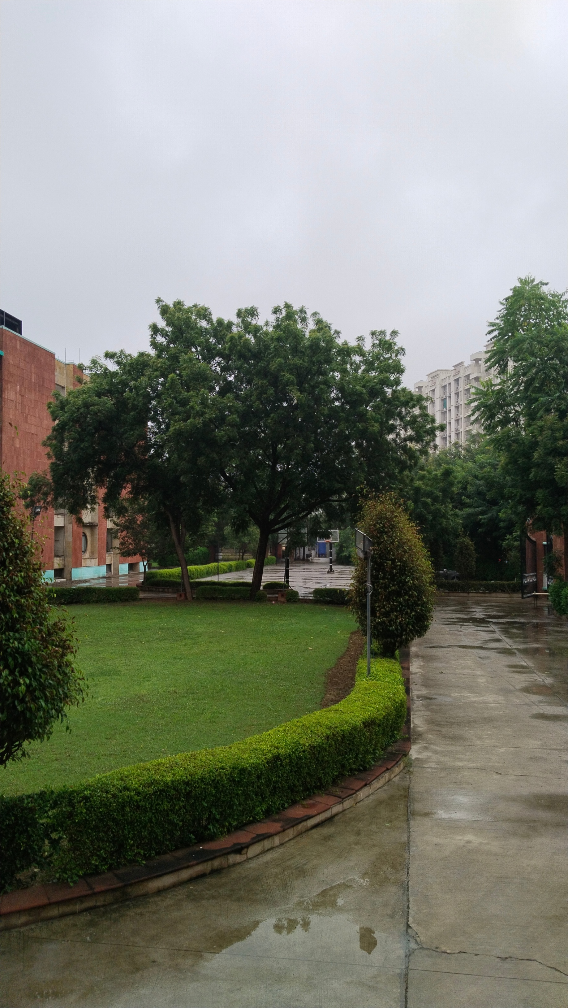 Jaipur National University Campus photo (1) by Gautam Kataria