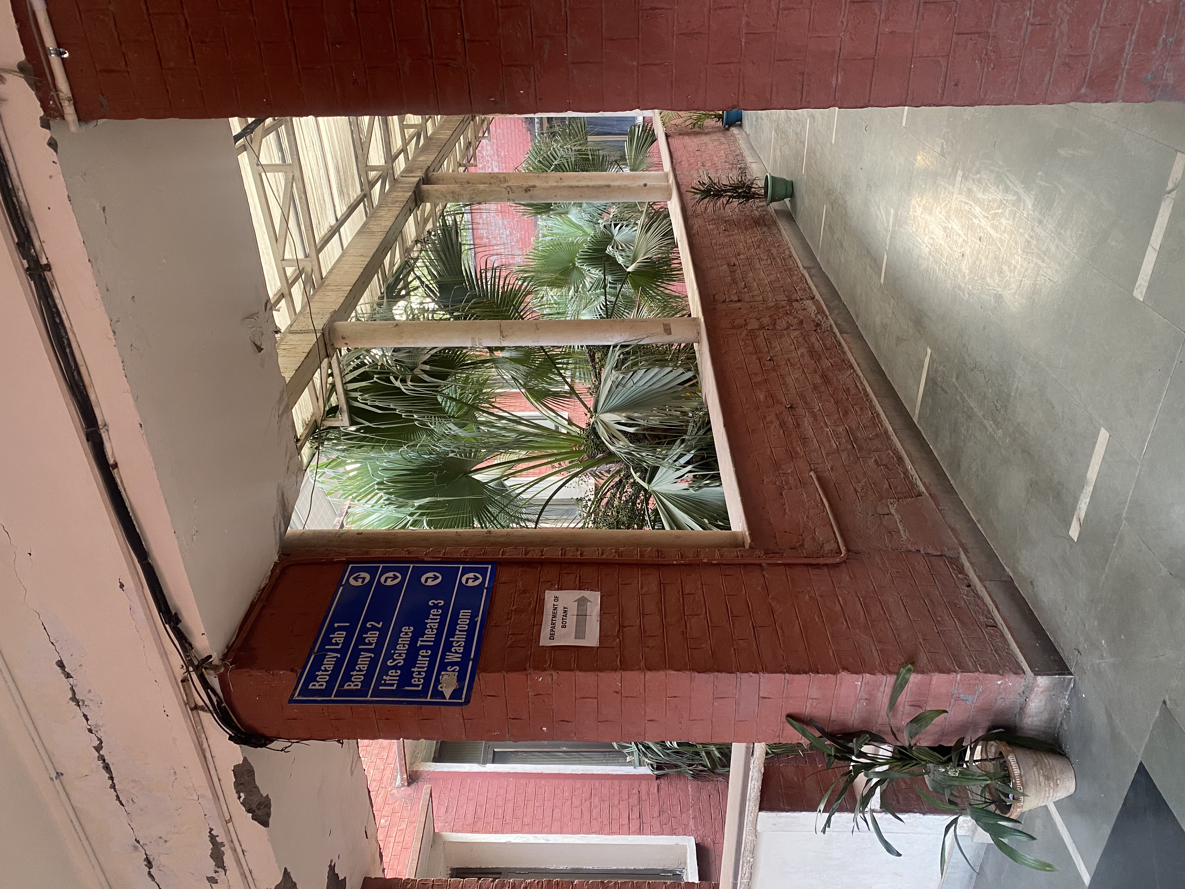 Kirori Mal College Infrastructure & Academic Building photo (14) by GAURAV MEENA