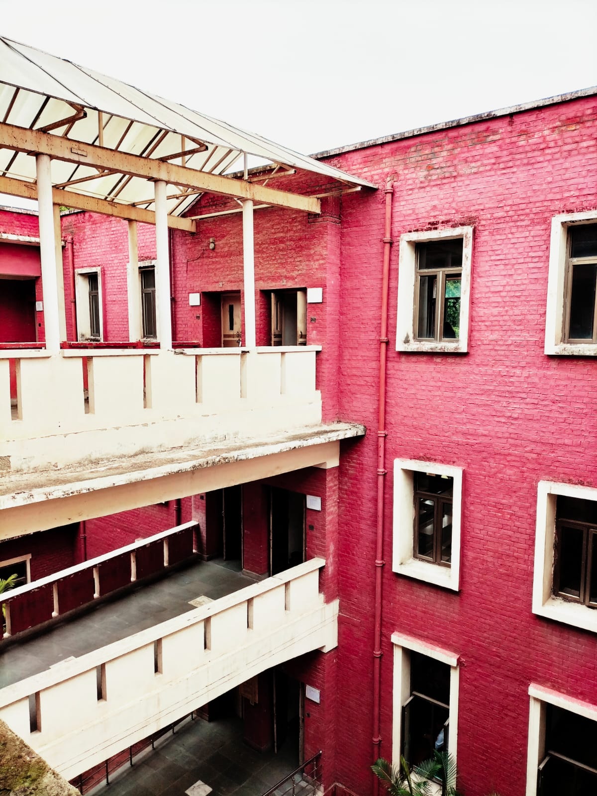 Kirori Mal College Campus photo (12) by PARIDHI RAGHUVANSHI