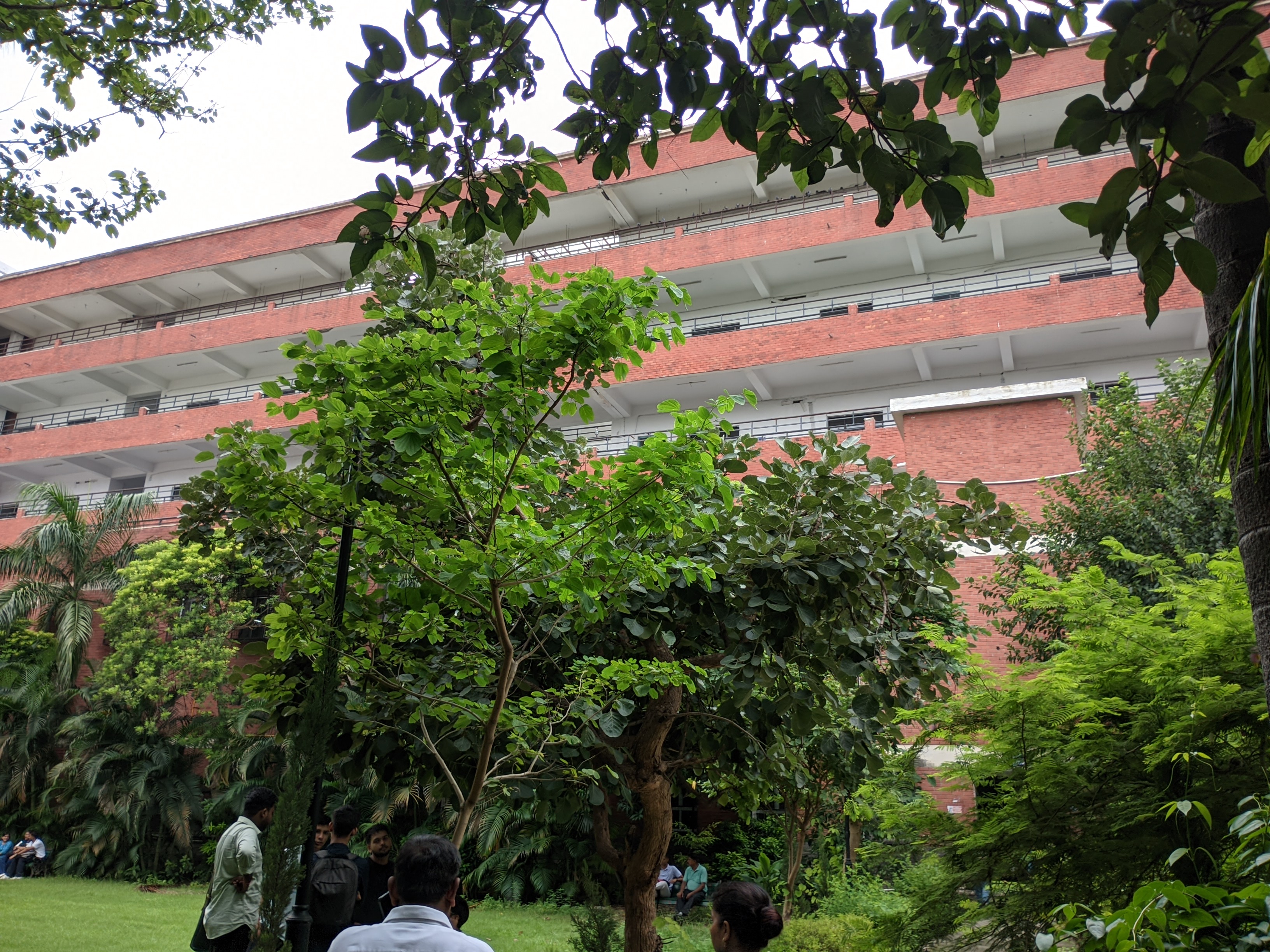 Ramjas College Infrastructure & Academic Building photo (2) by Shubhashish Gupta