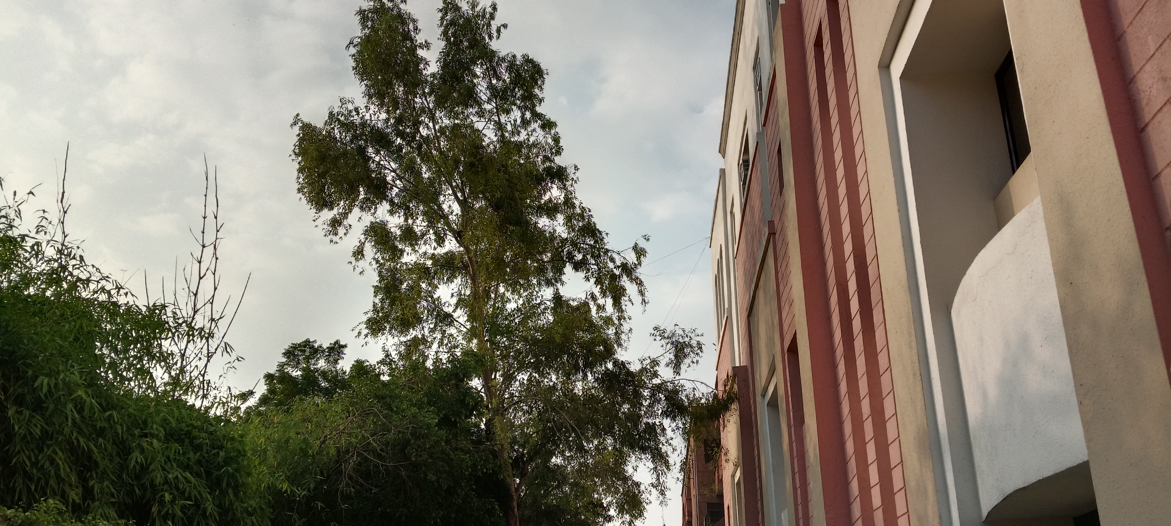 IPEC Ghaziabad Campus photo (15) by Shreeya Shukla