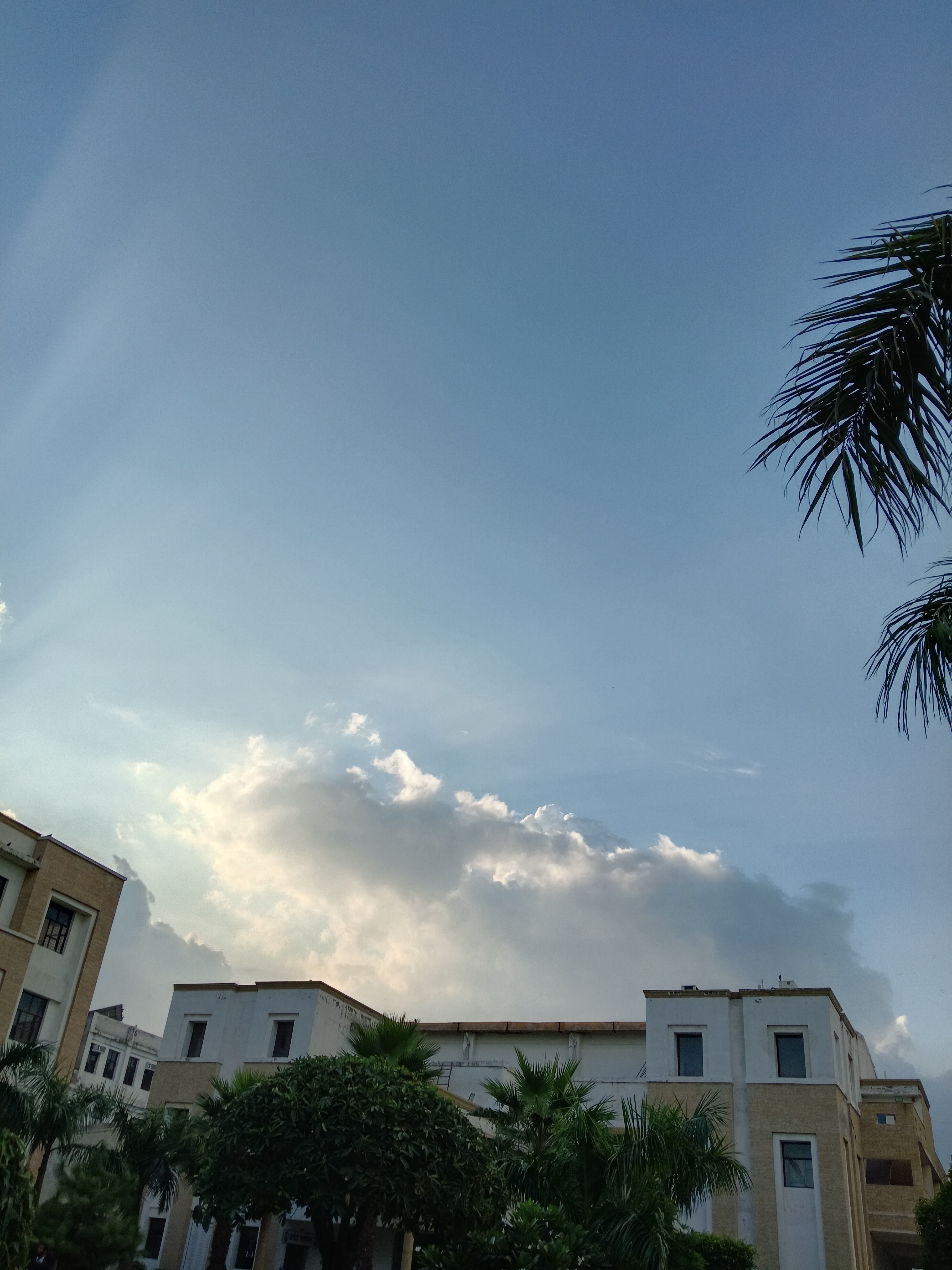 IPEC Ghaziabad Campus photo (11) by Shreeya Shukla