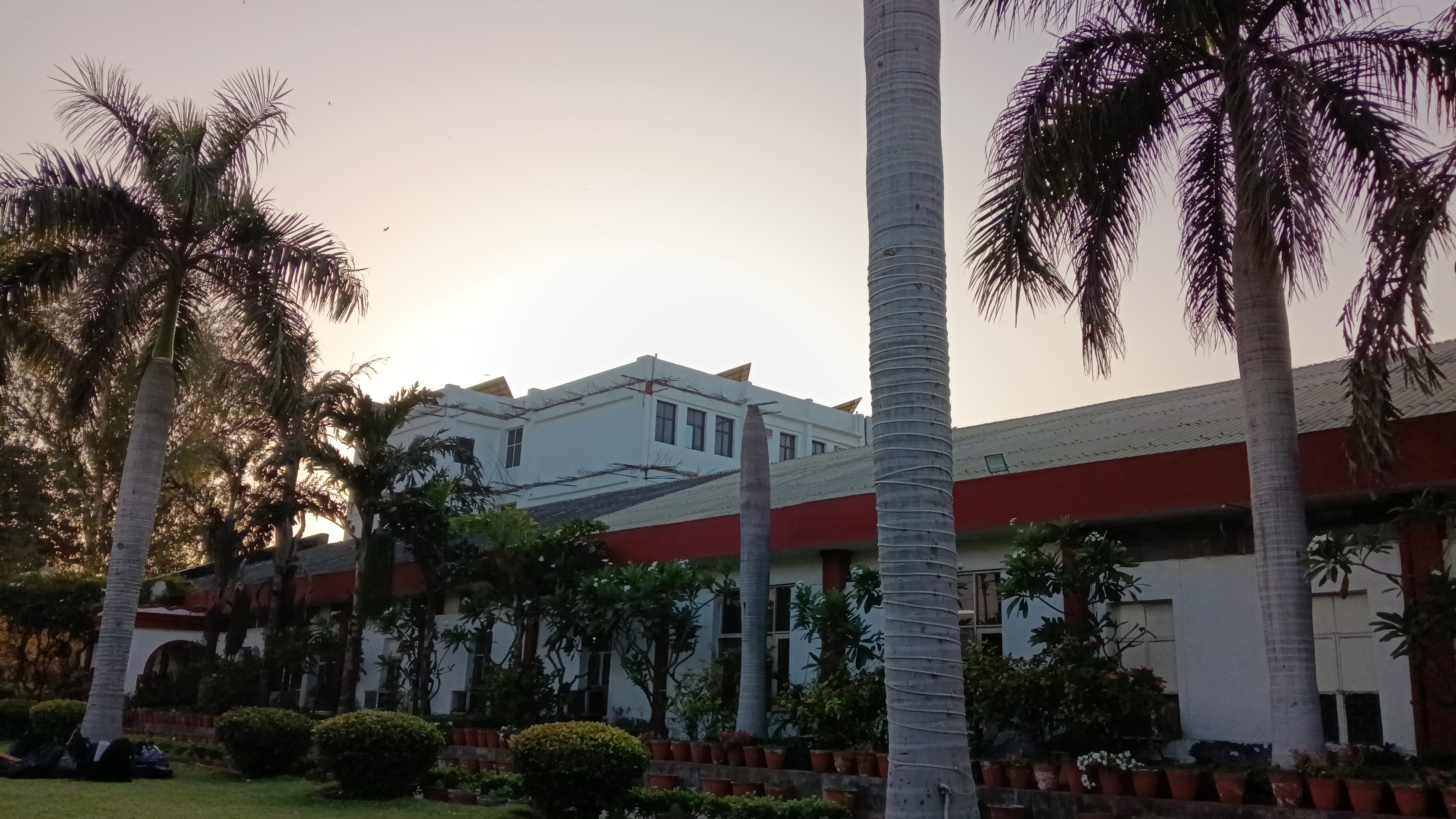 IPEC Ghaziabad Campus photo (6) by Shreeya Shukla