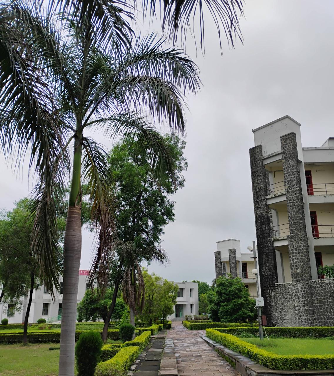 JUET Campus photo (15) by Ishan d