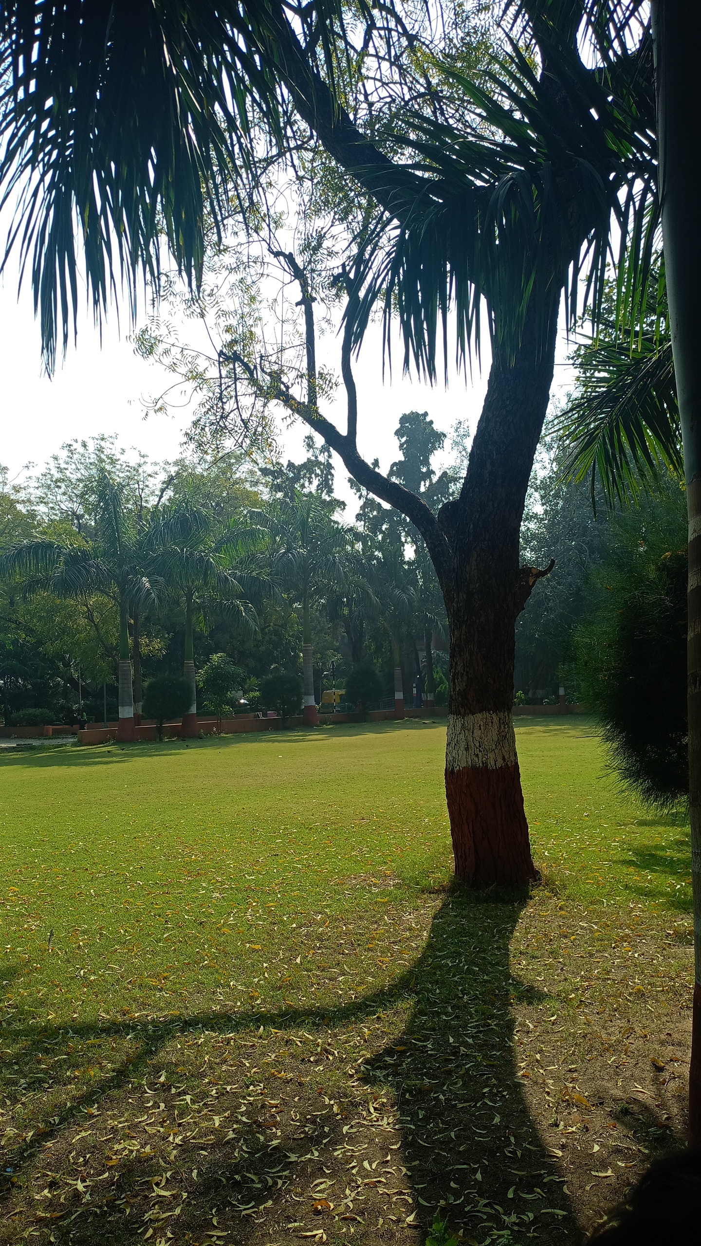 Gujarat University Ahmedabad Facilities & Labs photo (1) by Devarshi parmar