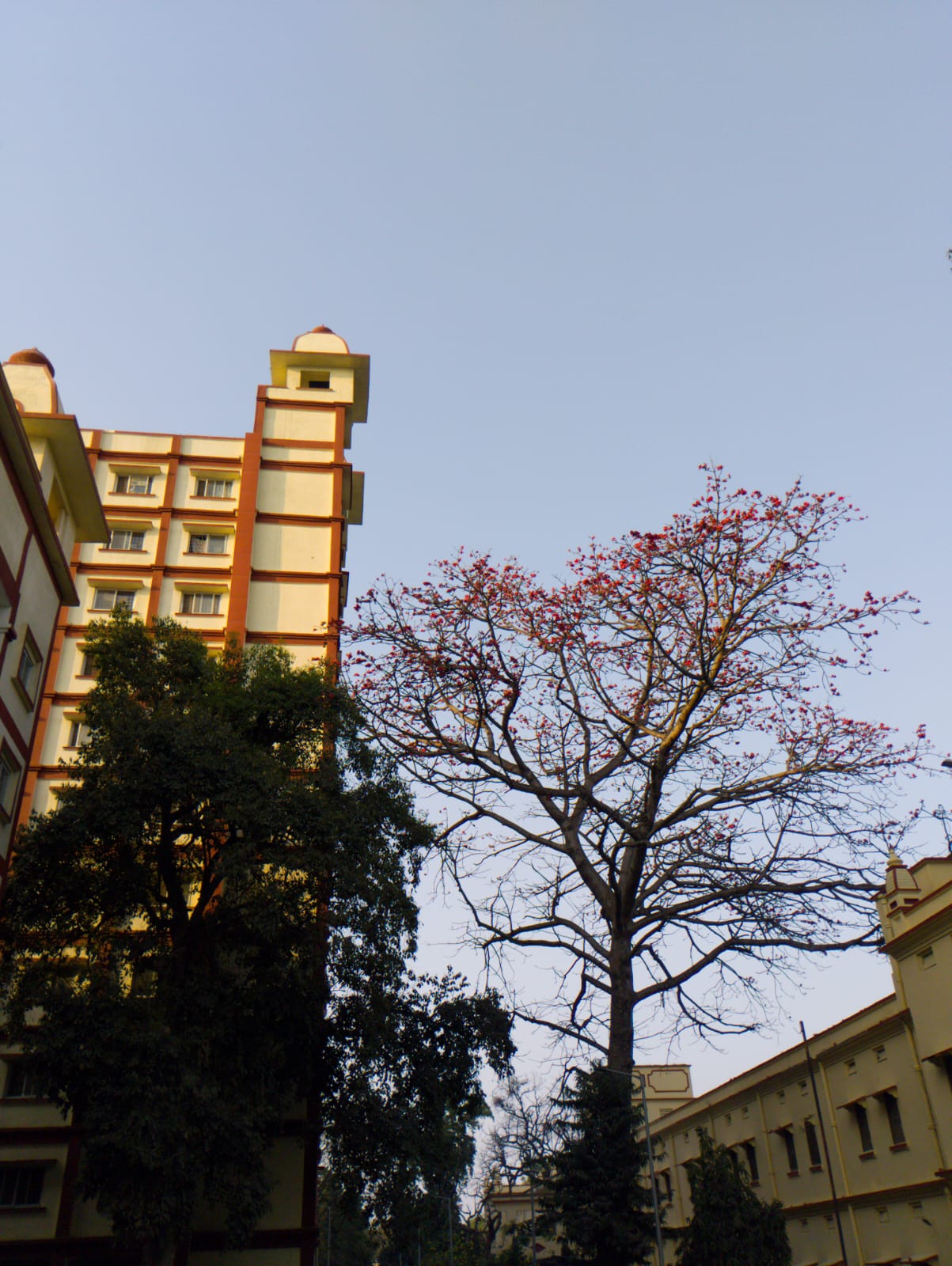 IIT BHU Campus photo (17) by Adarsh Singh