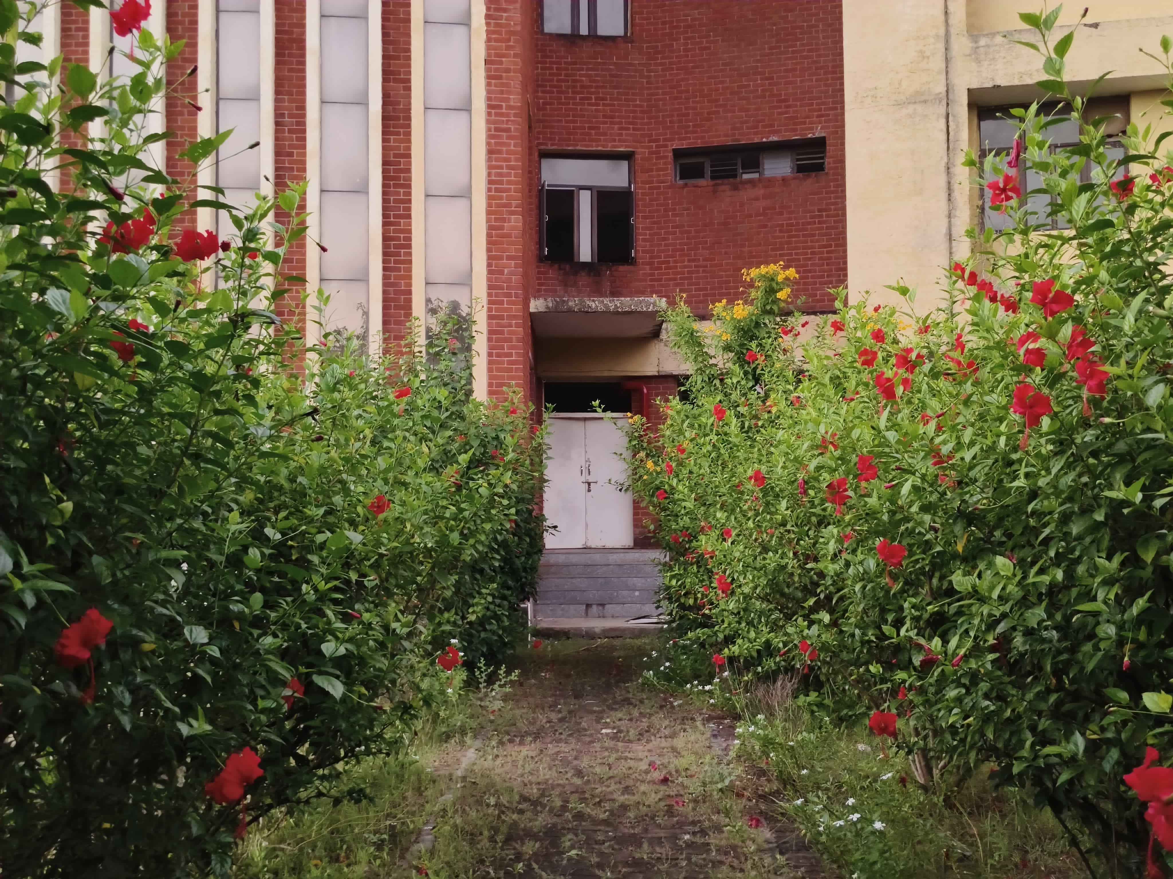 ITM SLS Baroda University, Vadodara Campus photo (13) by Mahi Patoa