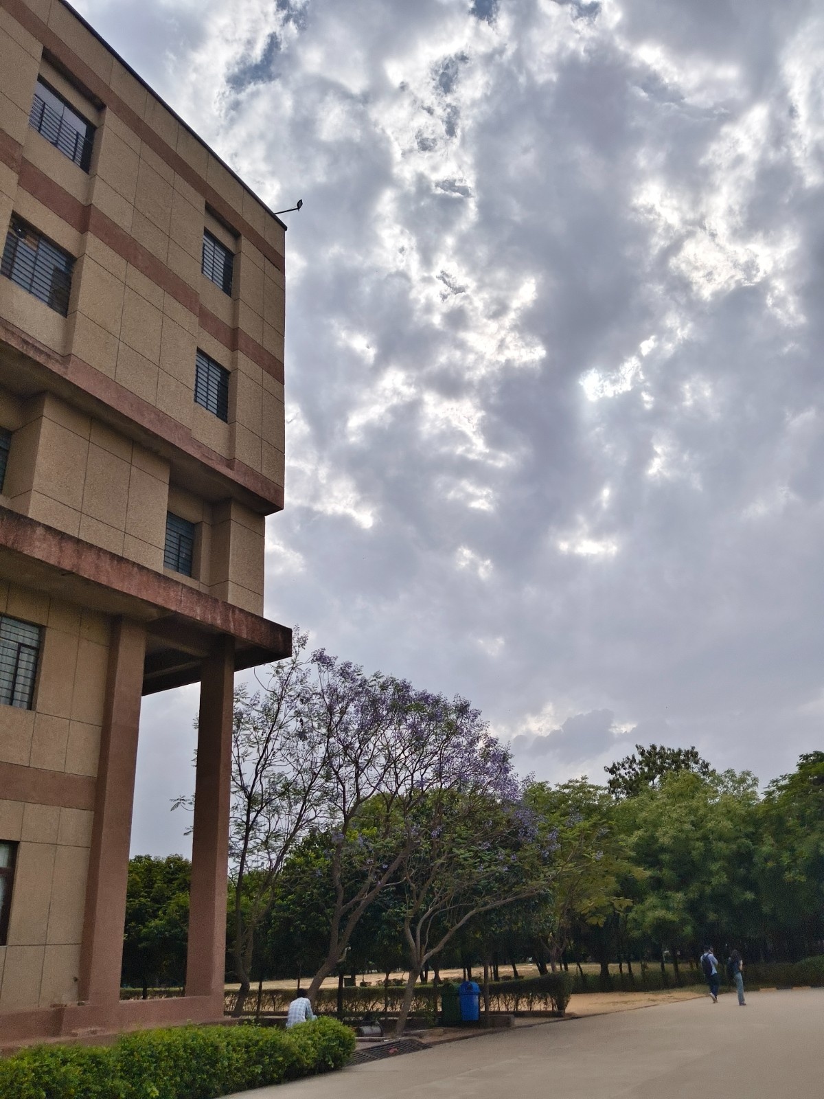 VGU Jaipur Campus photo (13) by Rishika Dubey