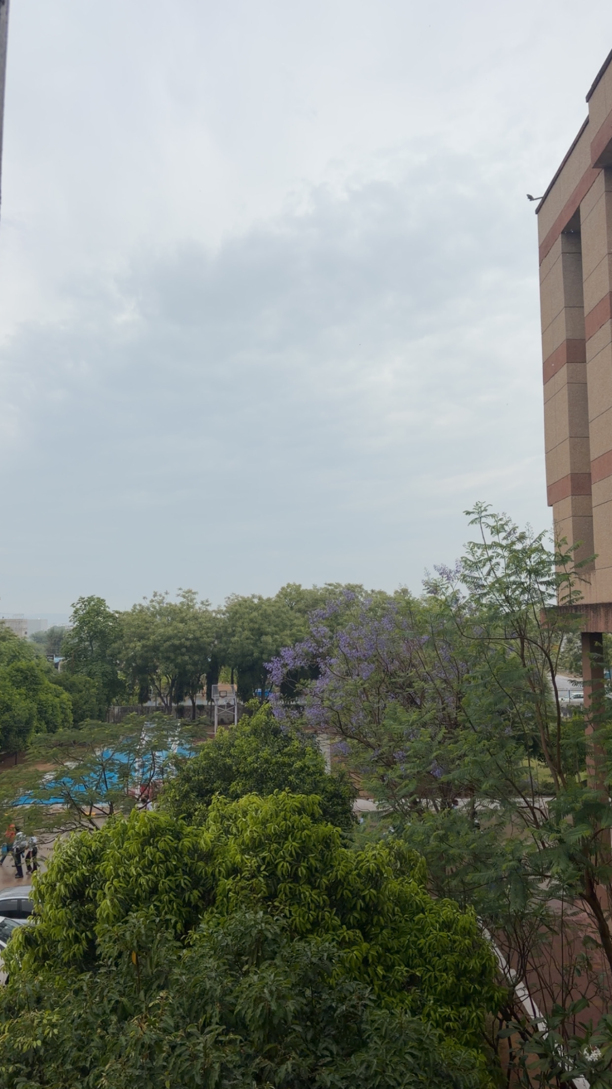 VGU Jaipur Campus photo (5) by Shreya Kumari