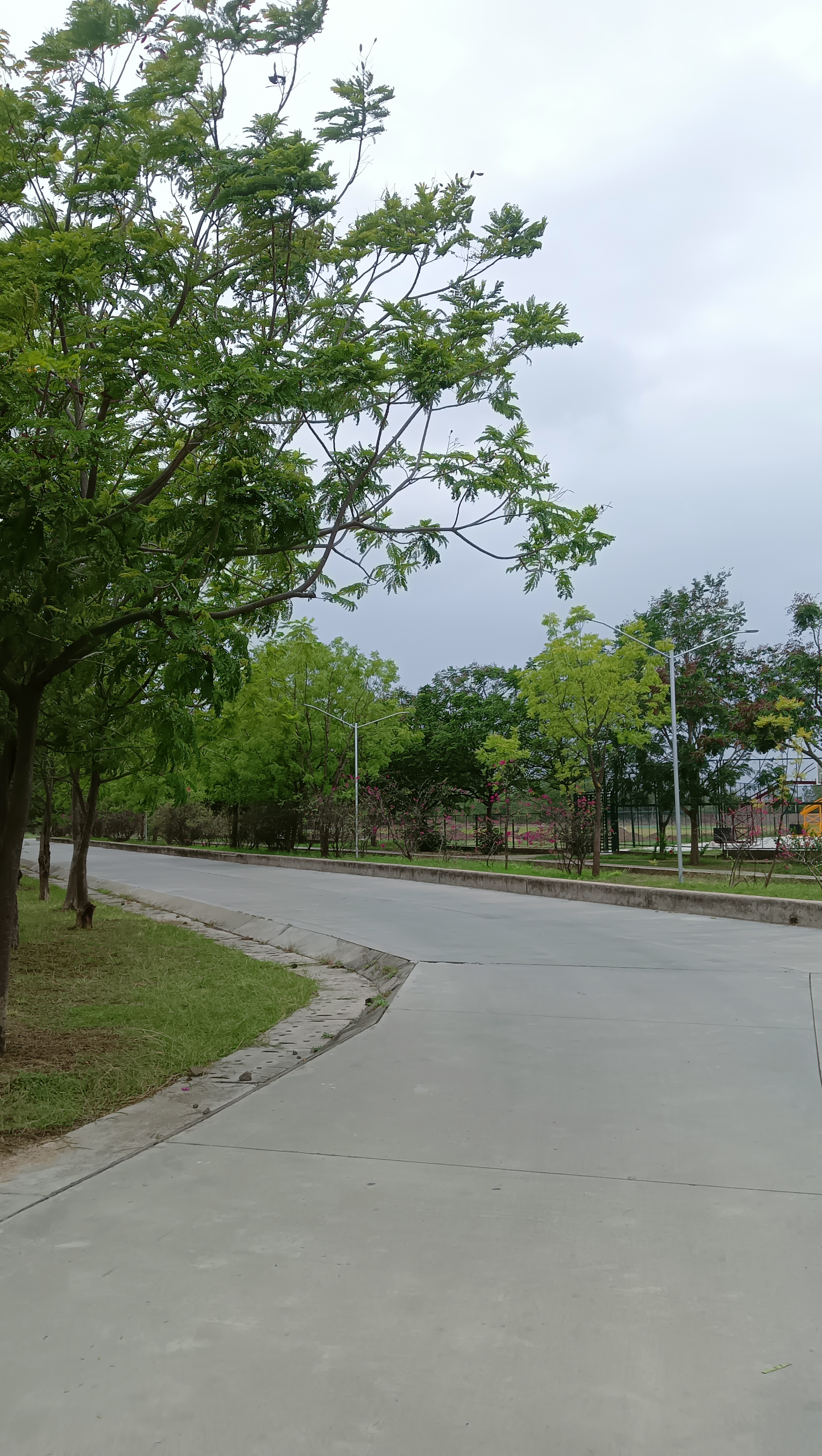 ITM SLS Baroda University, Vadodara Campus photo (6) by Mihir Govind Pandya