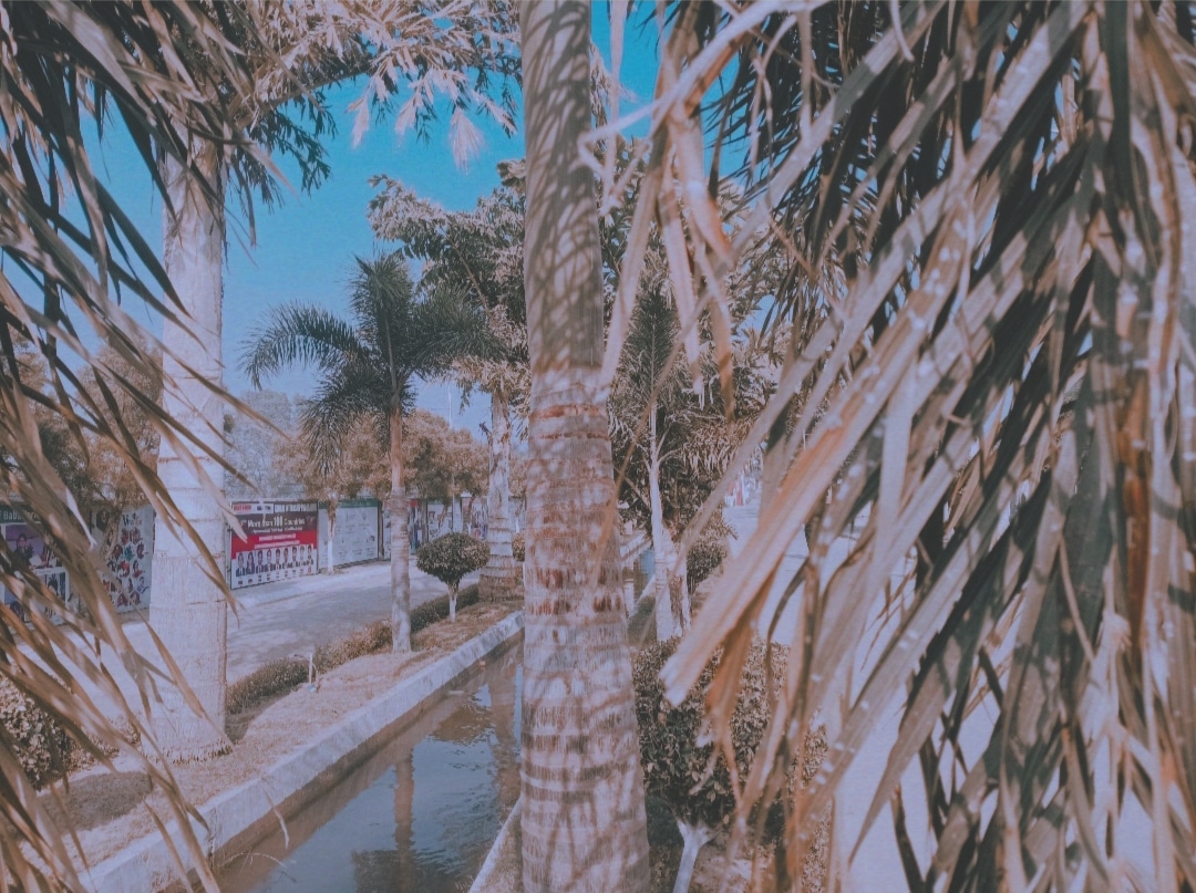 Baba Farid College of Engineering and Technology Bathinda Campus photo (4) by Shezan