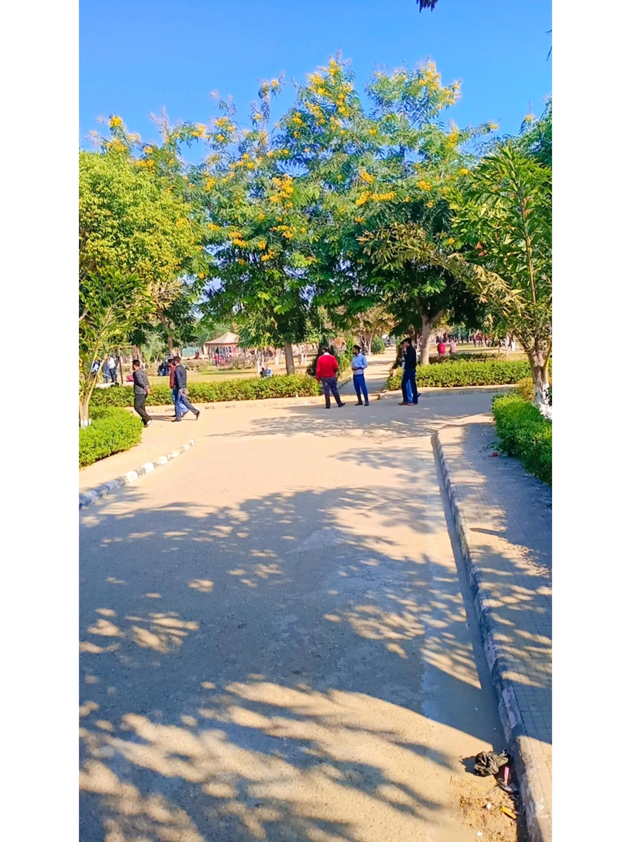 Baba Farid College of Engineering and Technology Bathinda Campus photo (5) by Shezan