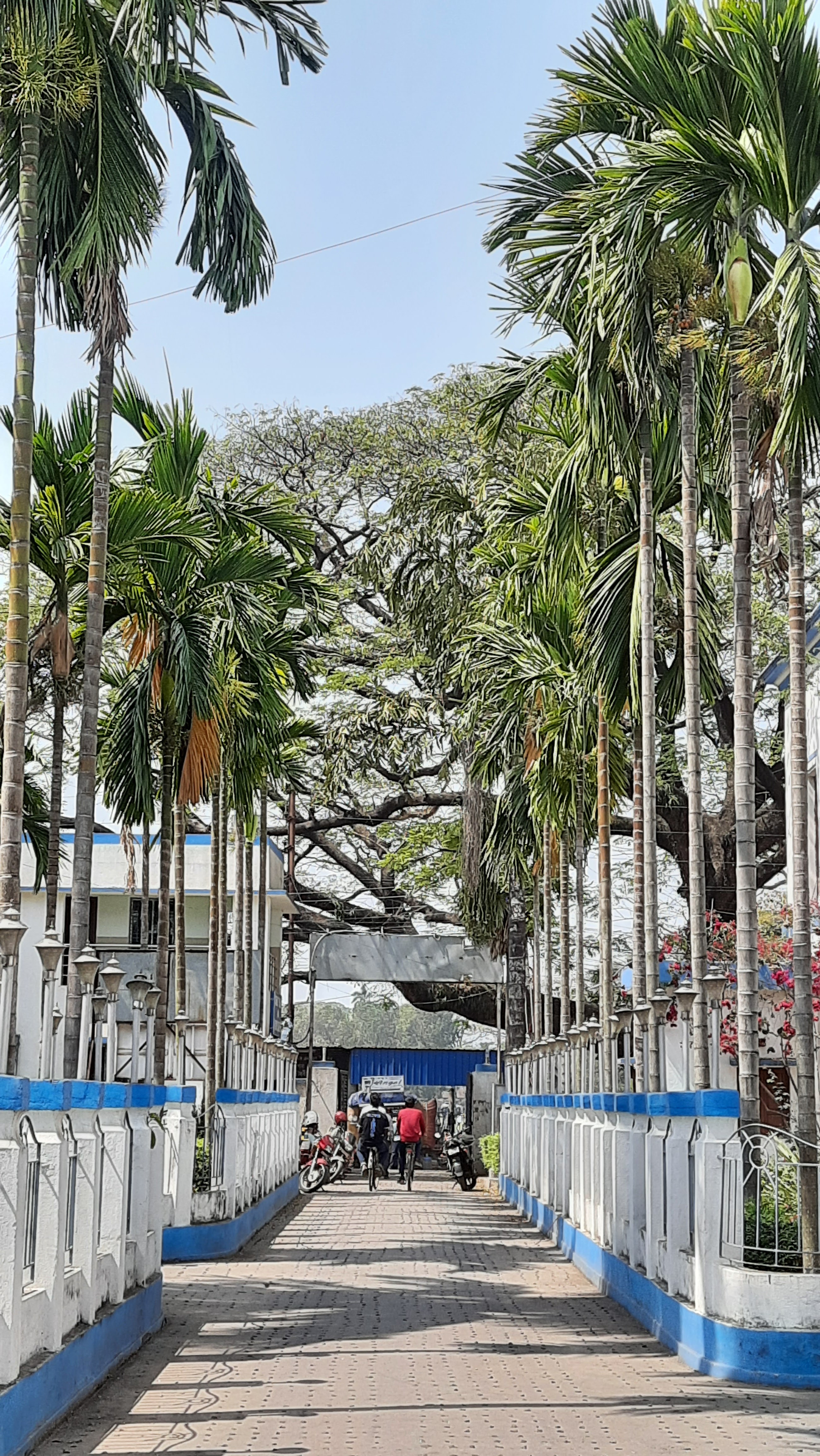 Government College of Engineering & Textile Technology Behrampore Campus photo (14) by Megha Sen