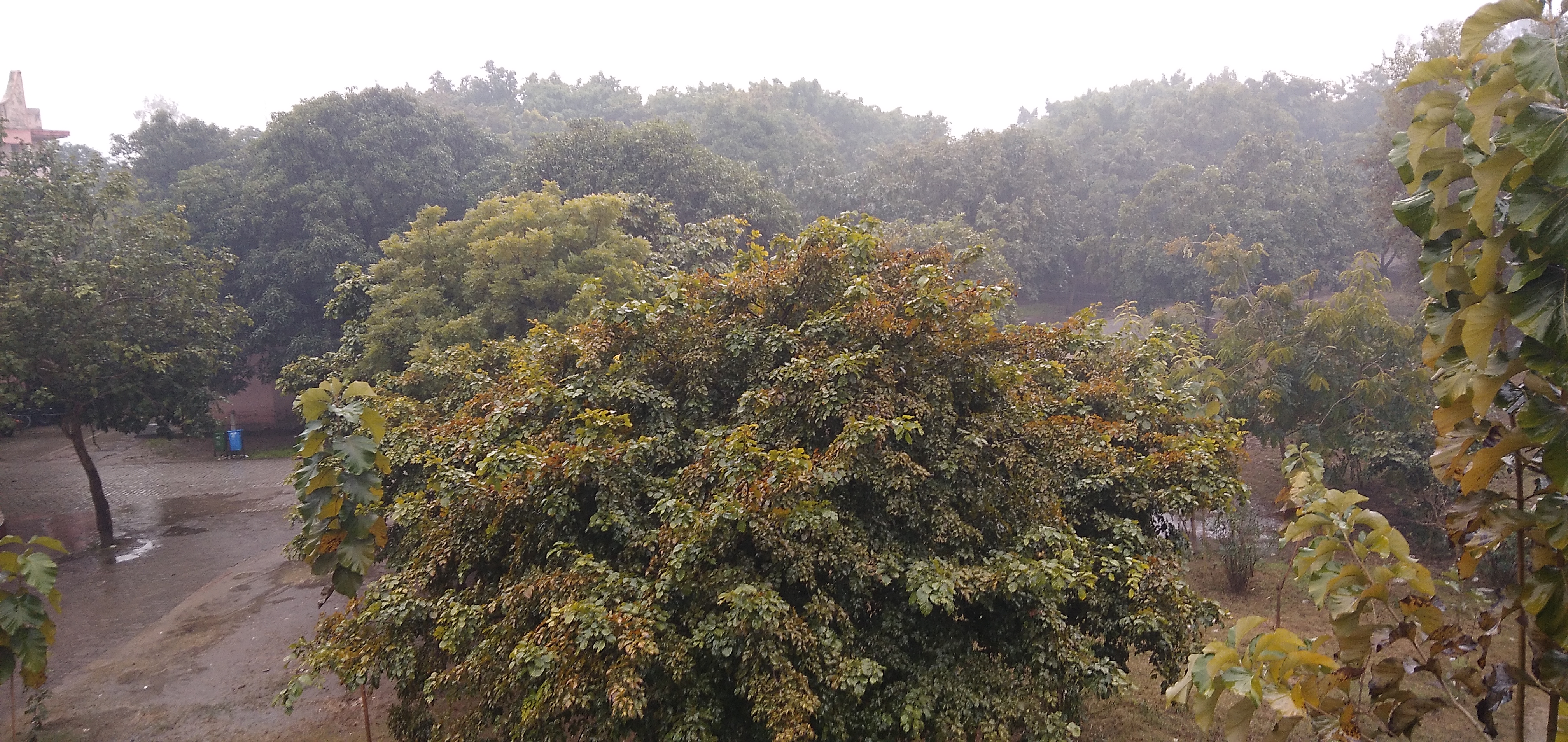 Sir Chhotu Ram Institute of Engineering and Technology Meerut Campus photo (1) by Arun Yadav
