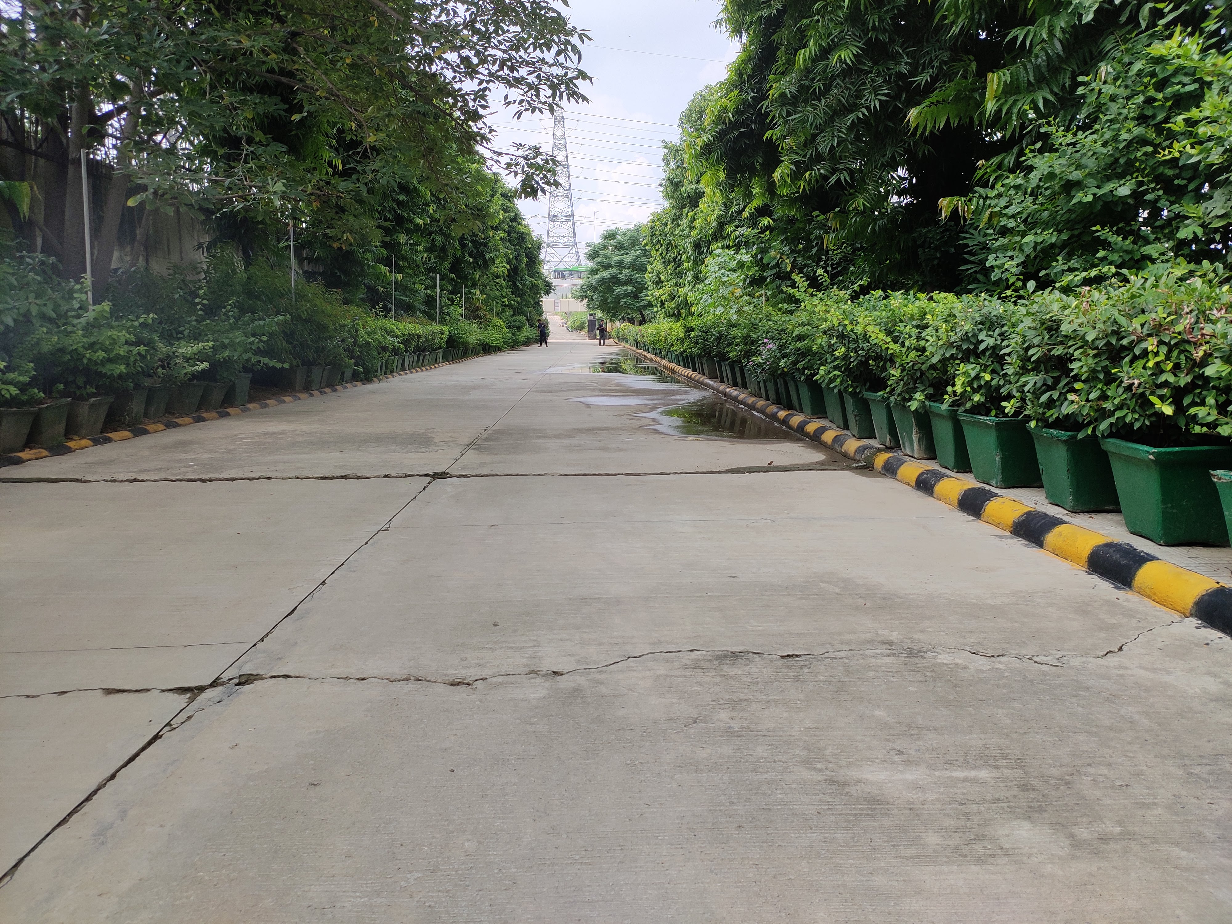 NSUT East Campus Campus photo (8) by satyam Jha
