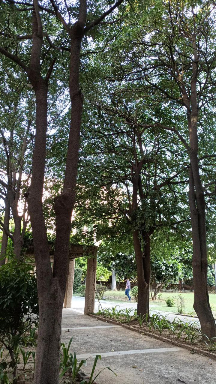IILM University Gurgaon Campus photo (4) by Adityavikram Surana