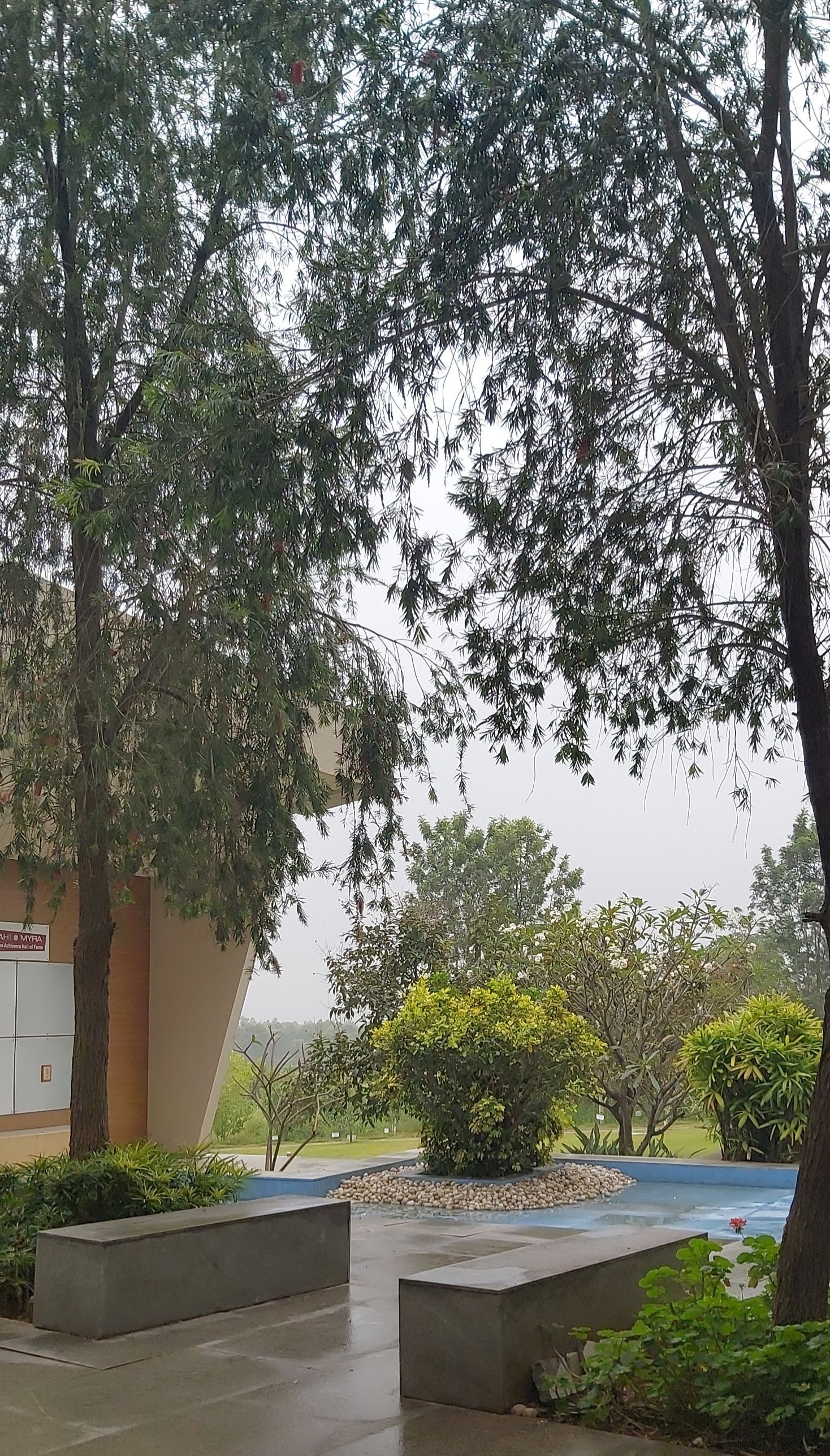 MYRA School of Business Mysore Campus photo (1) by Sanjana V