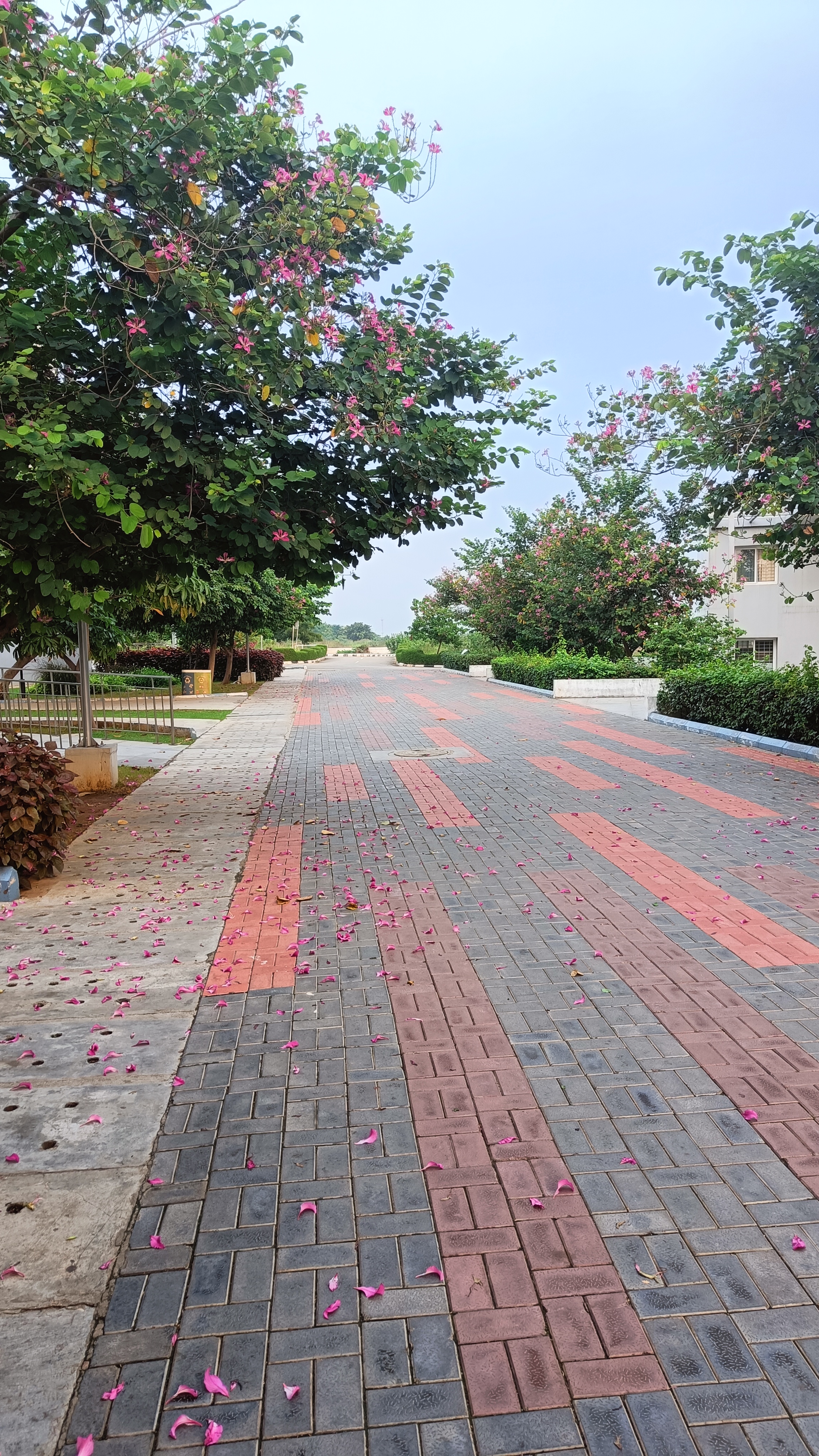 IIT Tirupati Campus photo (17) by Rajan Raj