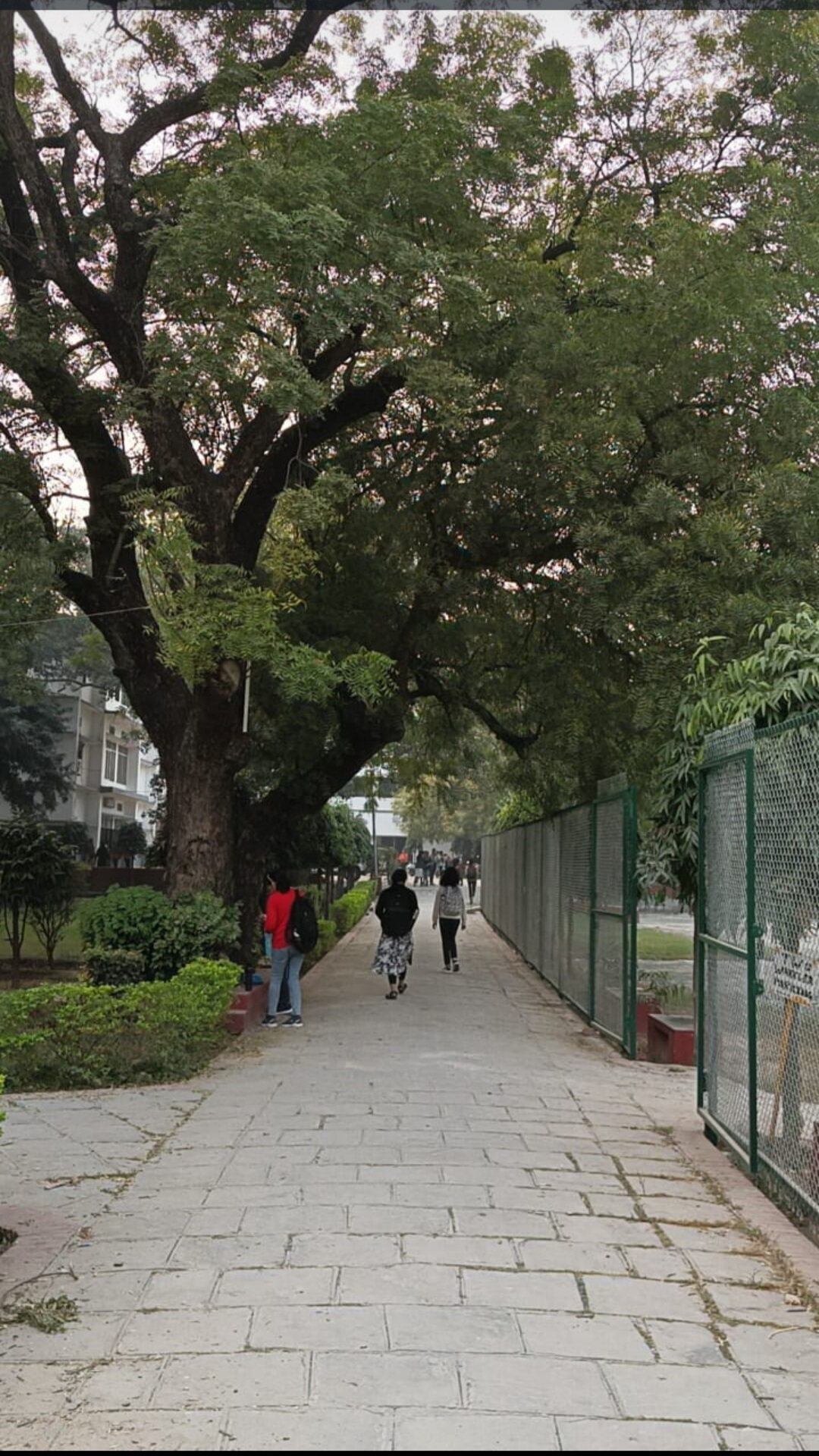Vasanta College For Women Varanasi General photo (12) by Samiksha Gautam