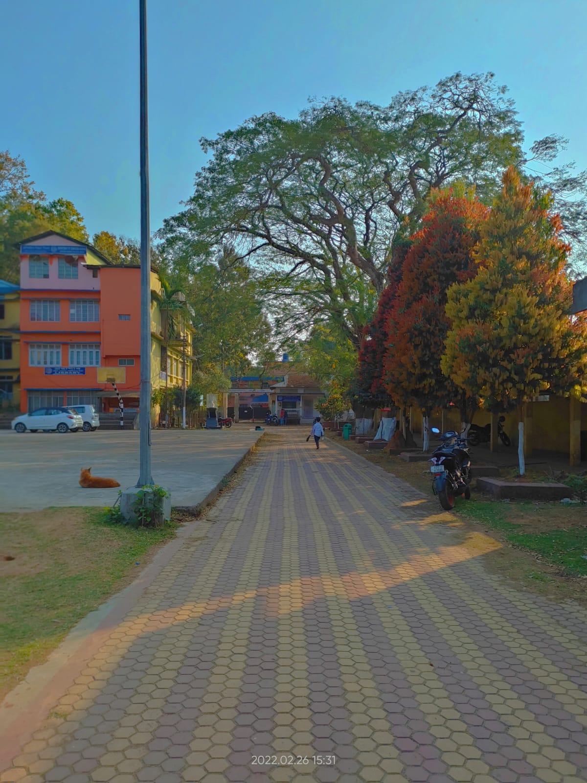Dakshin Kamrup College Nalbari General photo (3) by Anamika Mali
