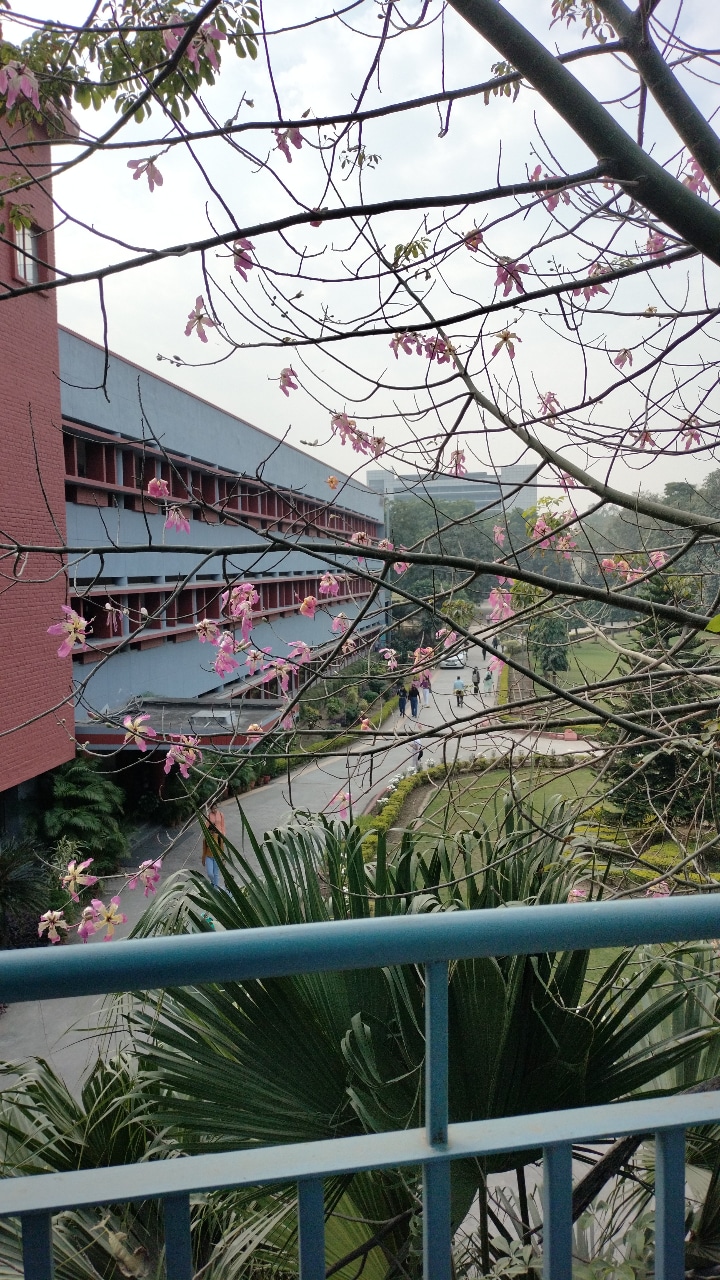 Janki Devi Memorial College General photo (16) by Aayushi