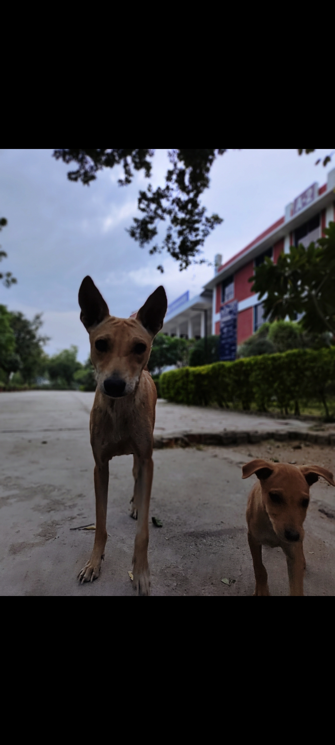 Rai University Ahmedabad Hostels photo (4) by Avadhesh kumar