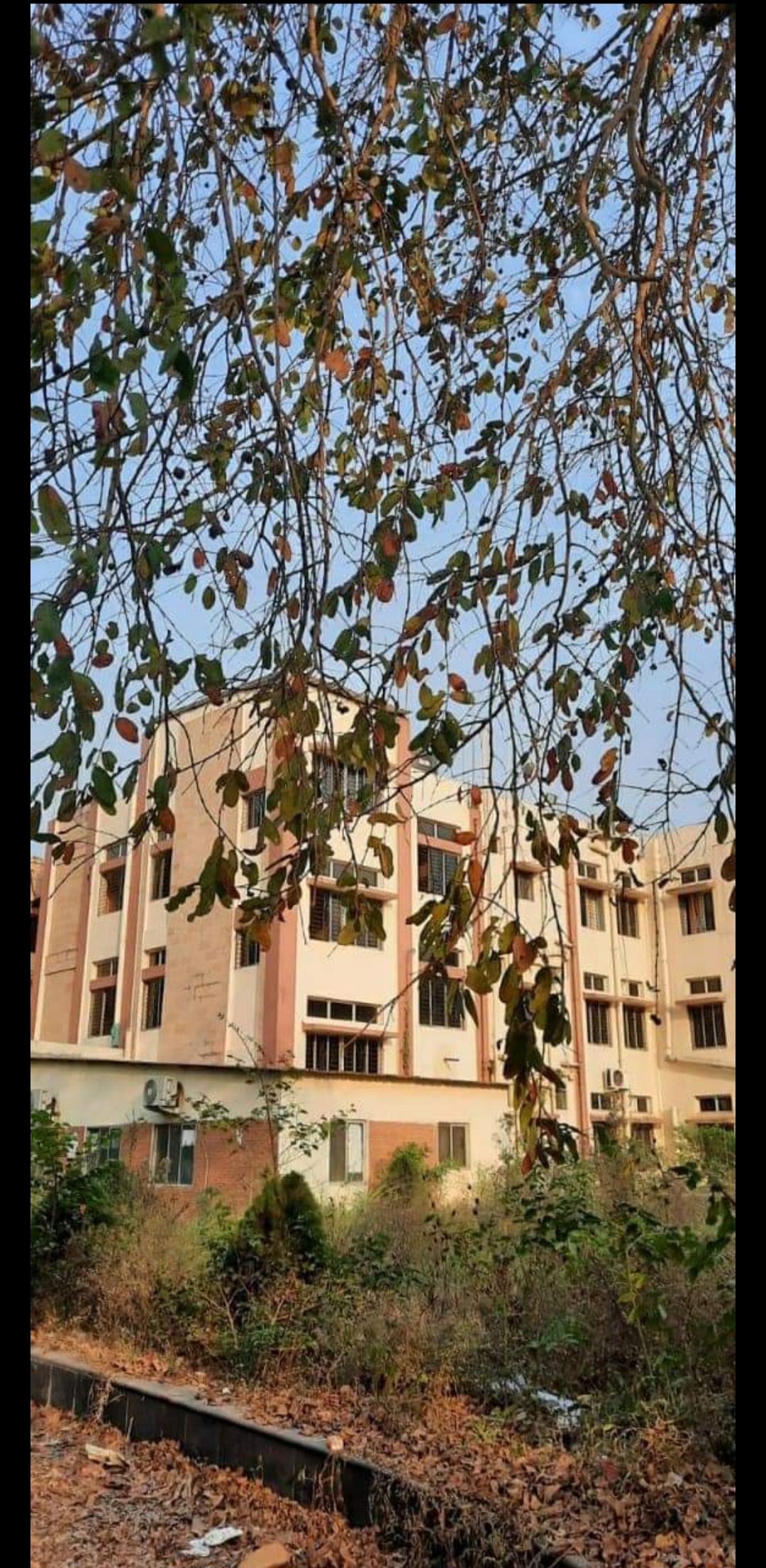 Lady Brabourne College Kolkata General photo (8) by Anushree Sarkar
