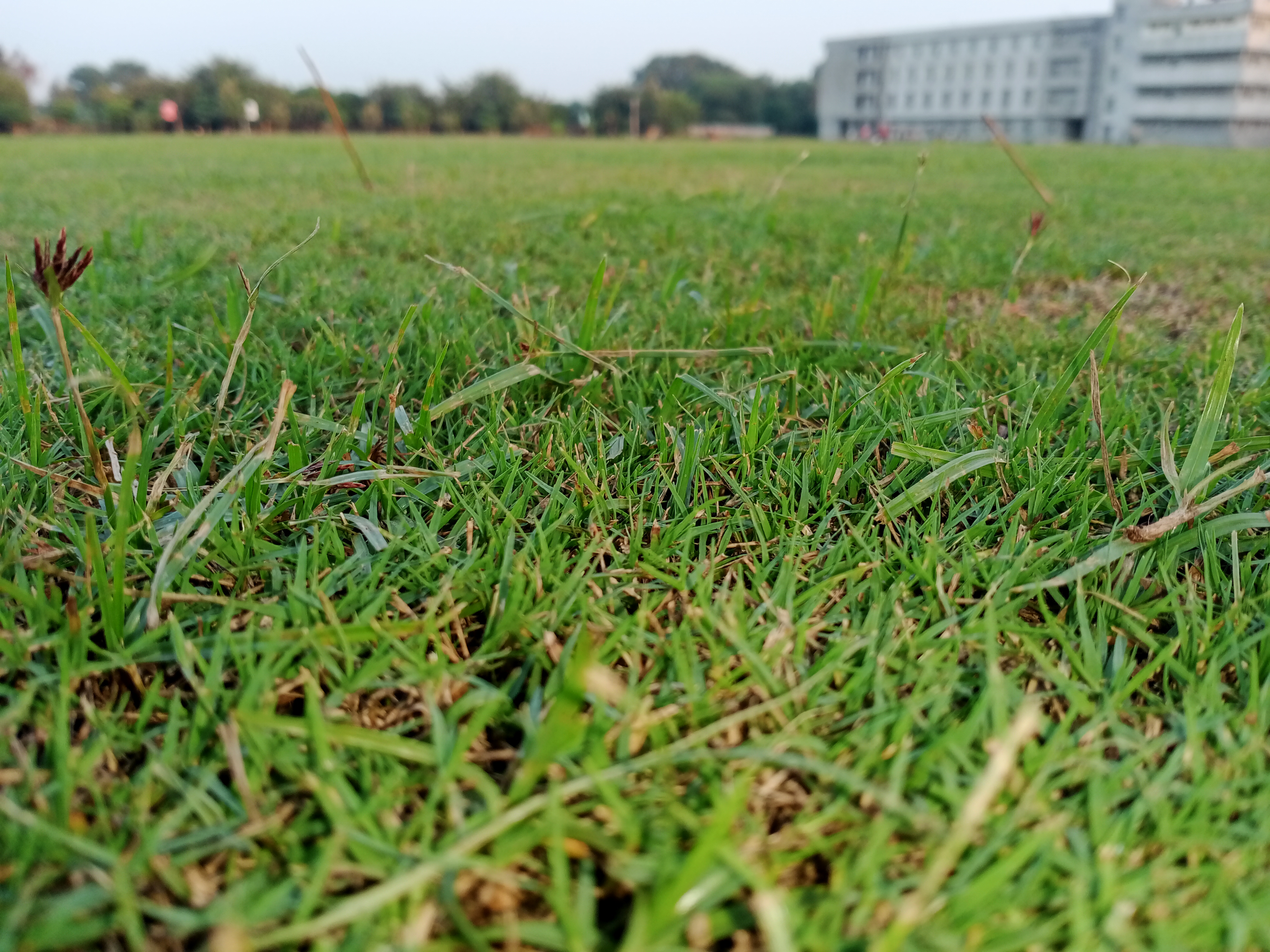 Ganga Institute of Technology and Management General photo (11) by Avinash Kumar