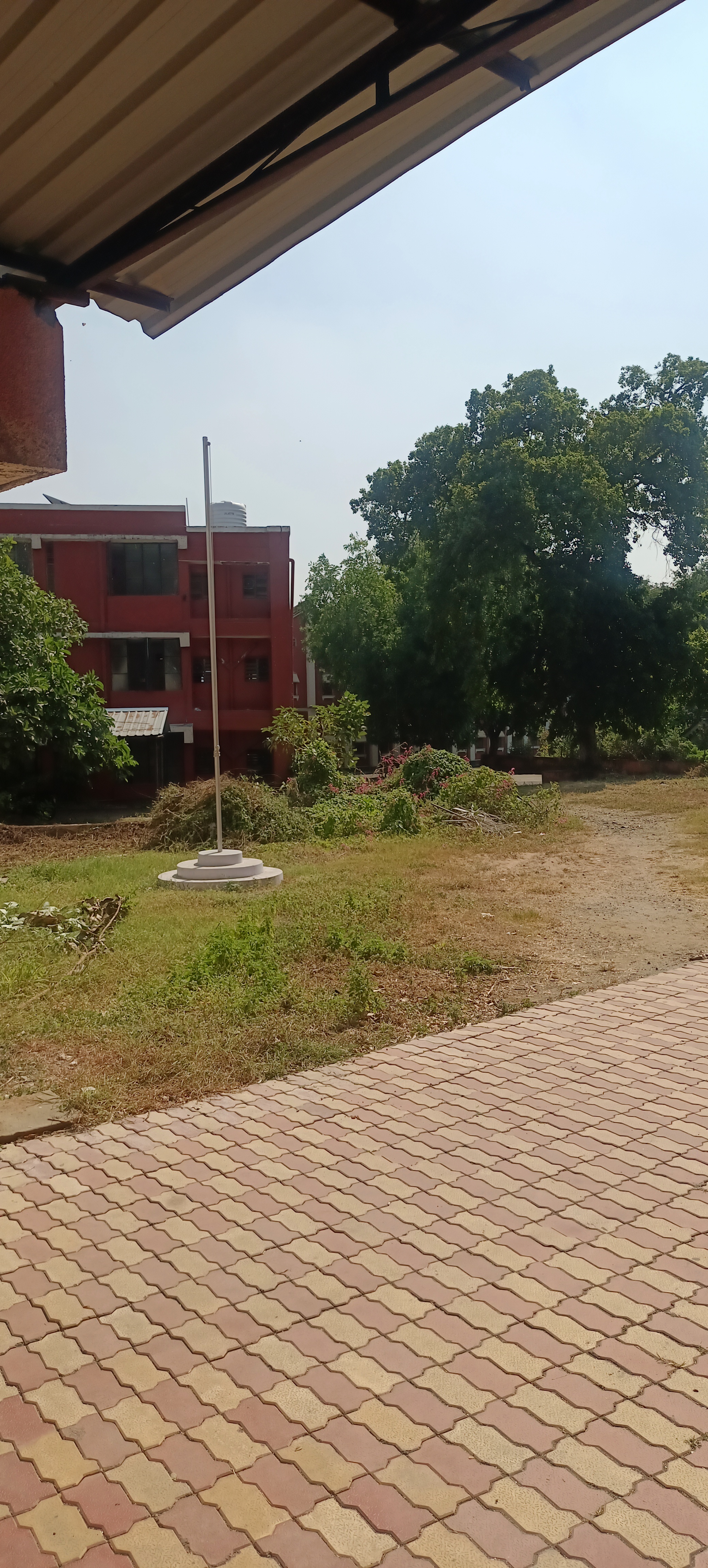 Institute of Science Nagpur Extra-Curricular photo (1) by Mamta