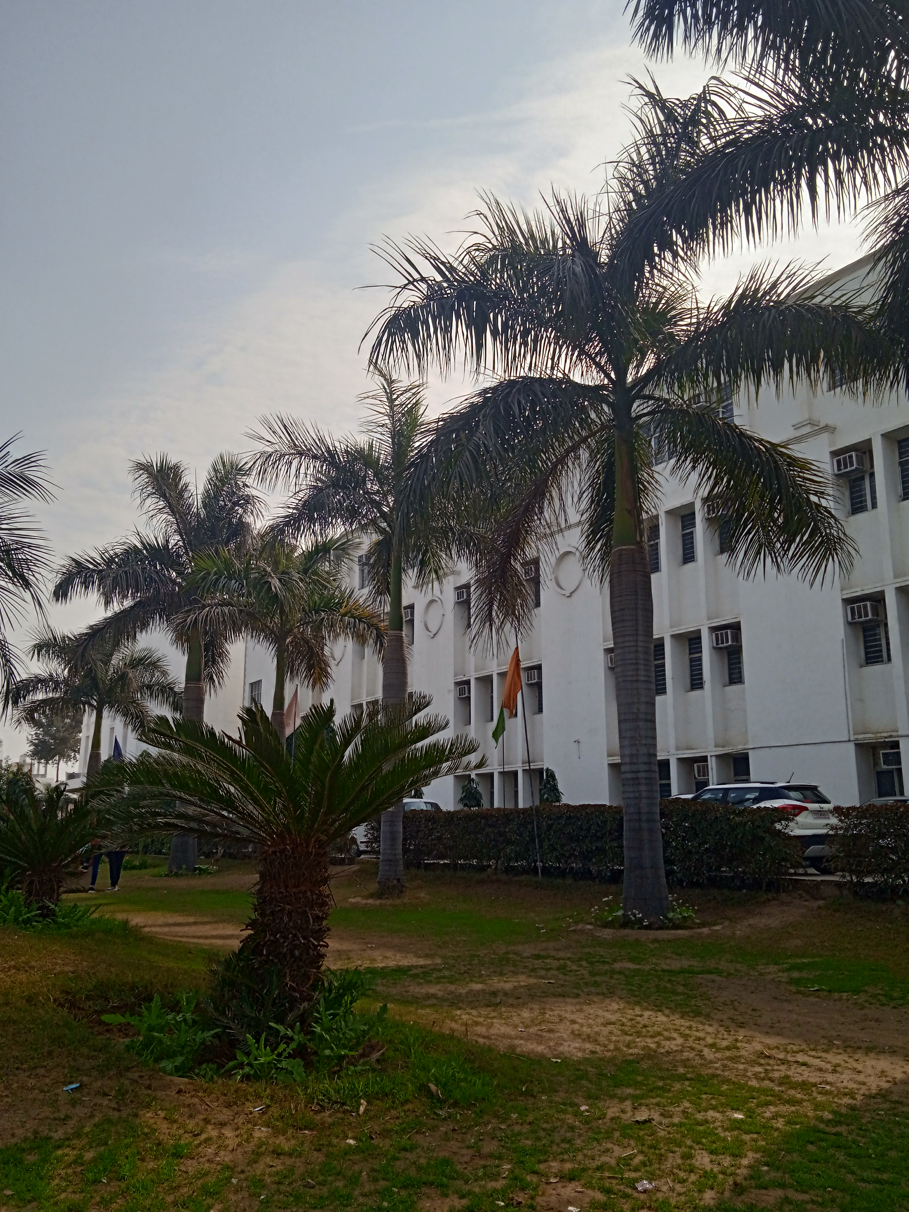 DPG Institute of Technology and Management Gurgaon General photo (2) by Ansh