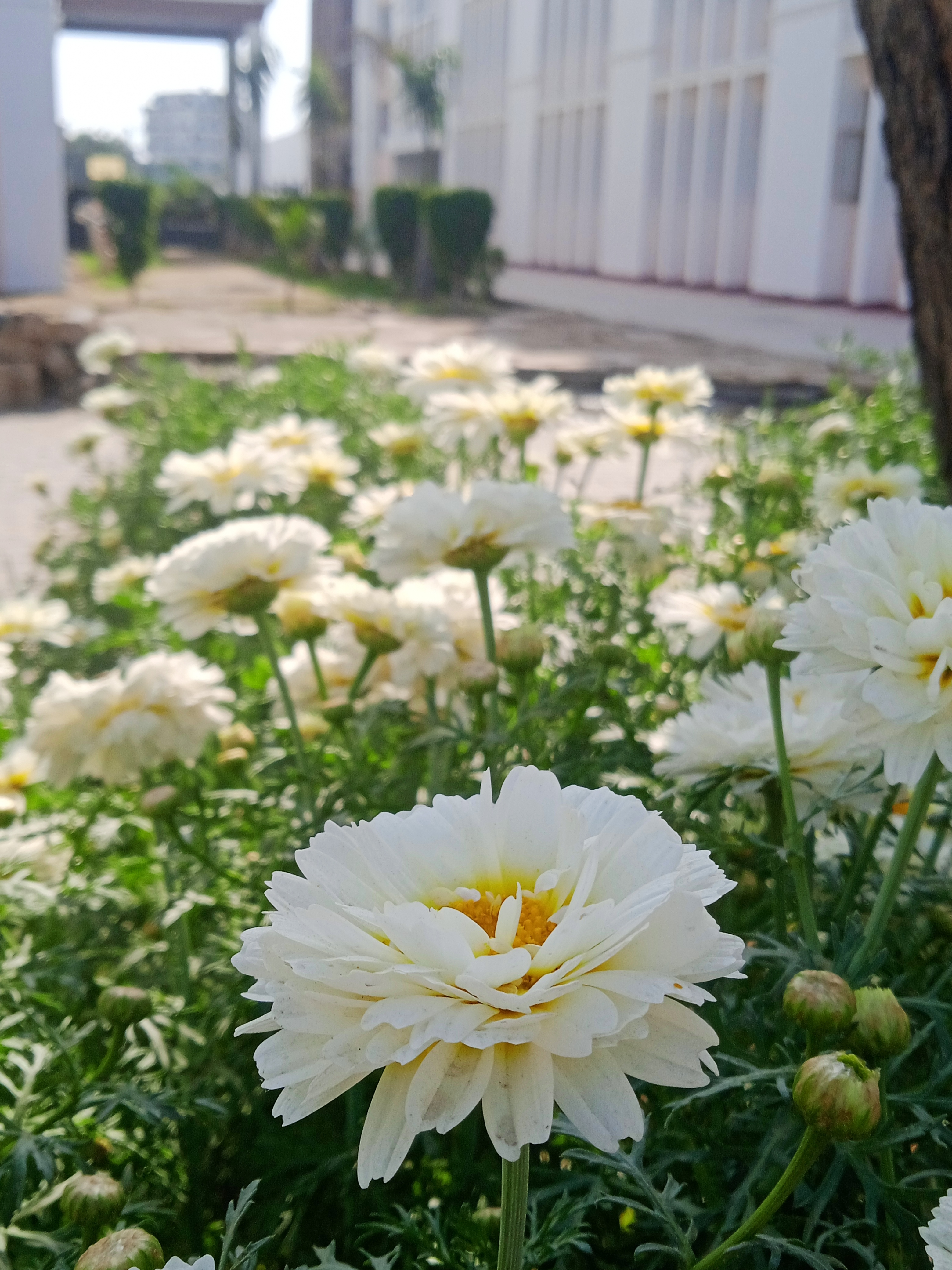DPG Institute of Technology and Management Gurgaon General photo (3) by Ansh