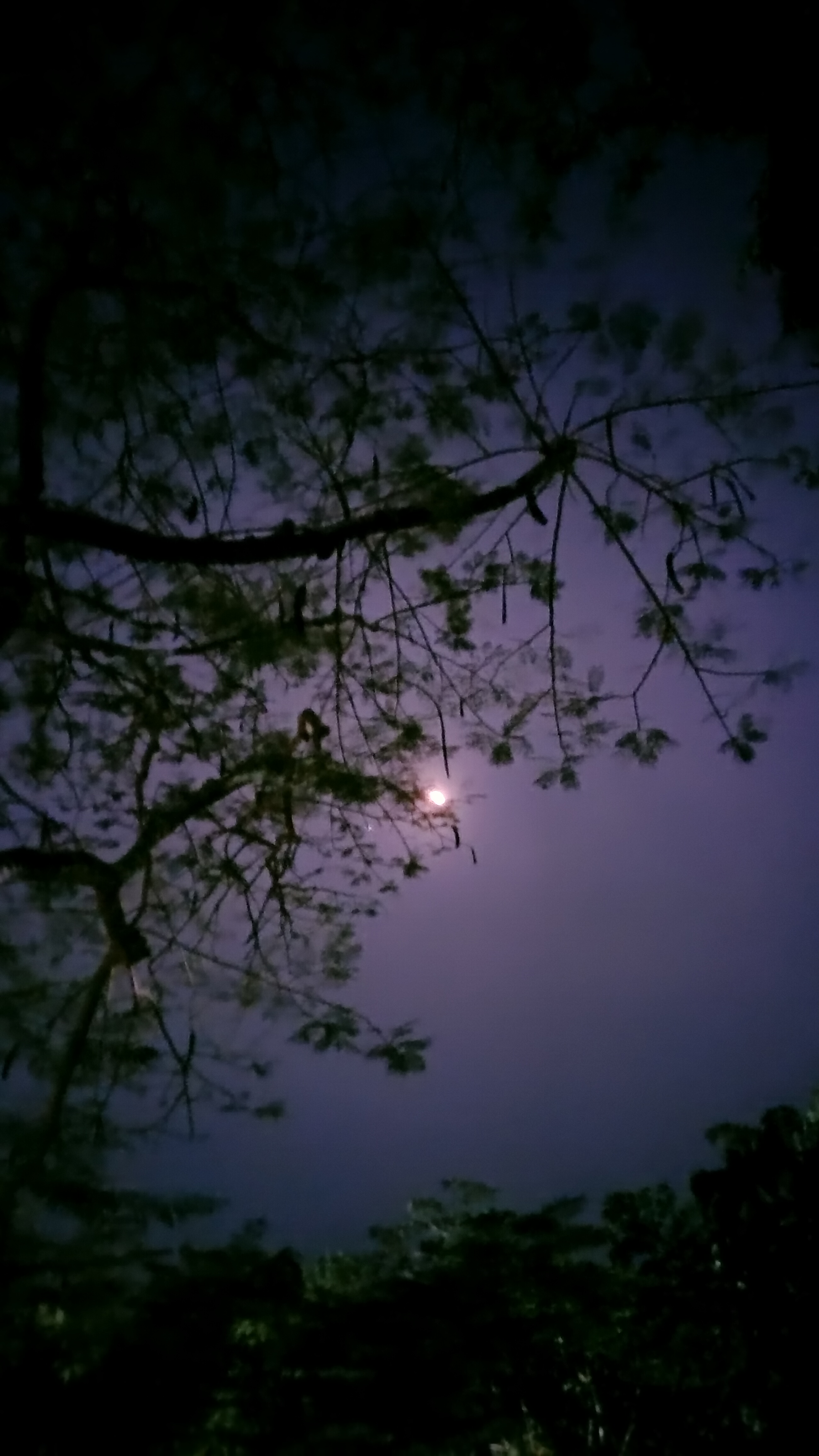 GMC Kozhikode Hostels photo (4) by Dinesh V D